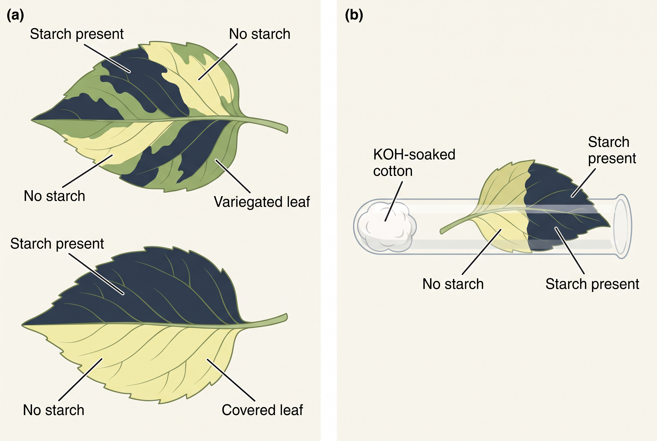 Fig. 11.1