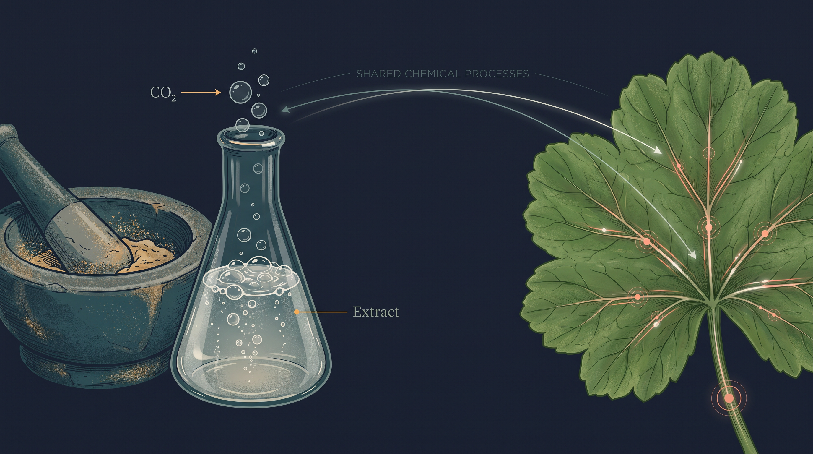 Fig. 12.0