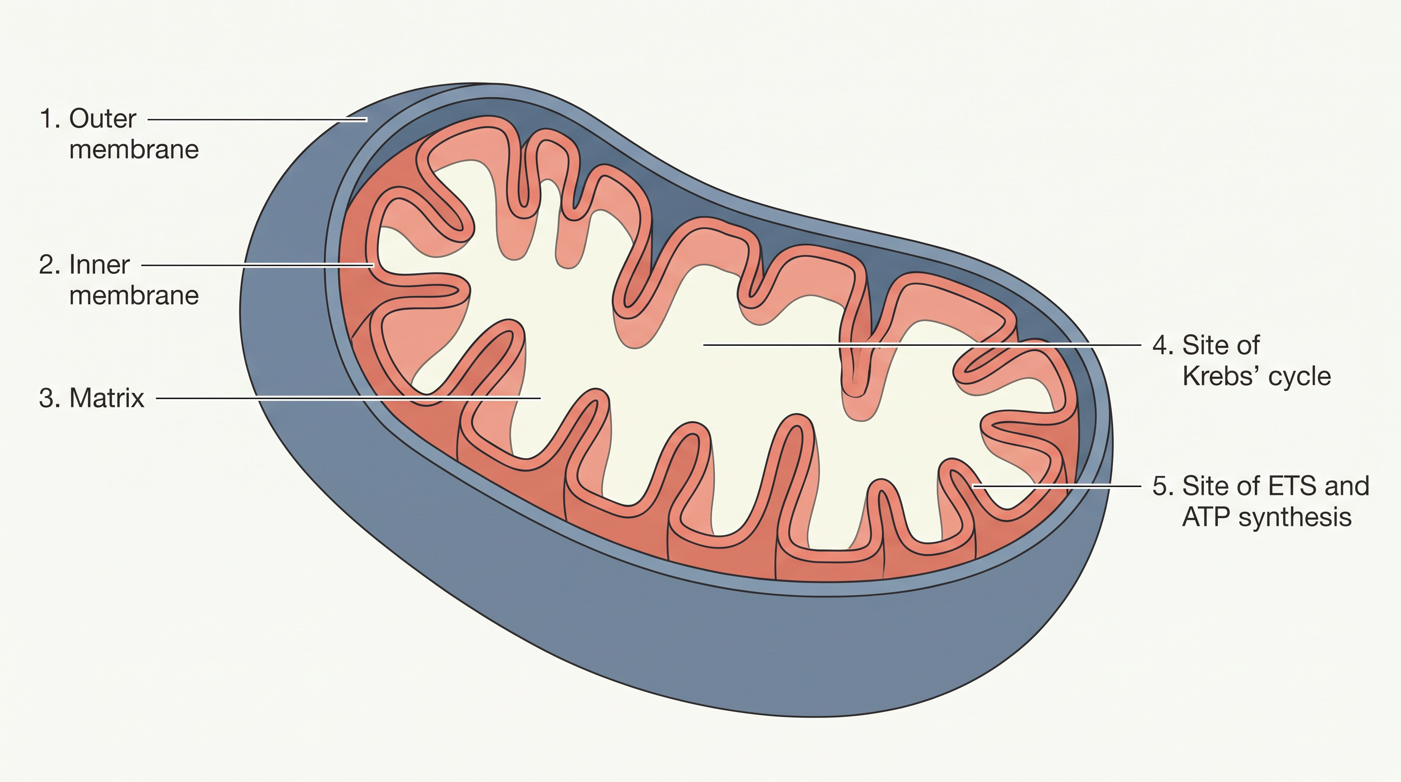 Fig. 12.4a