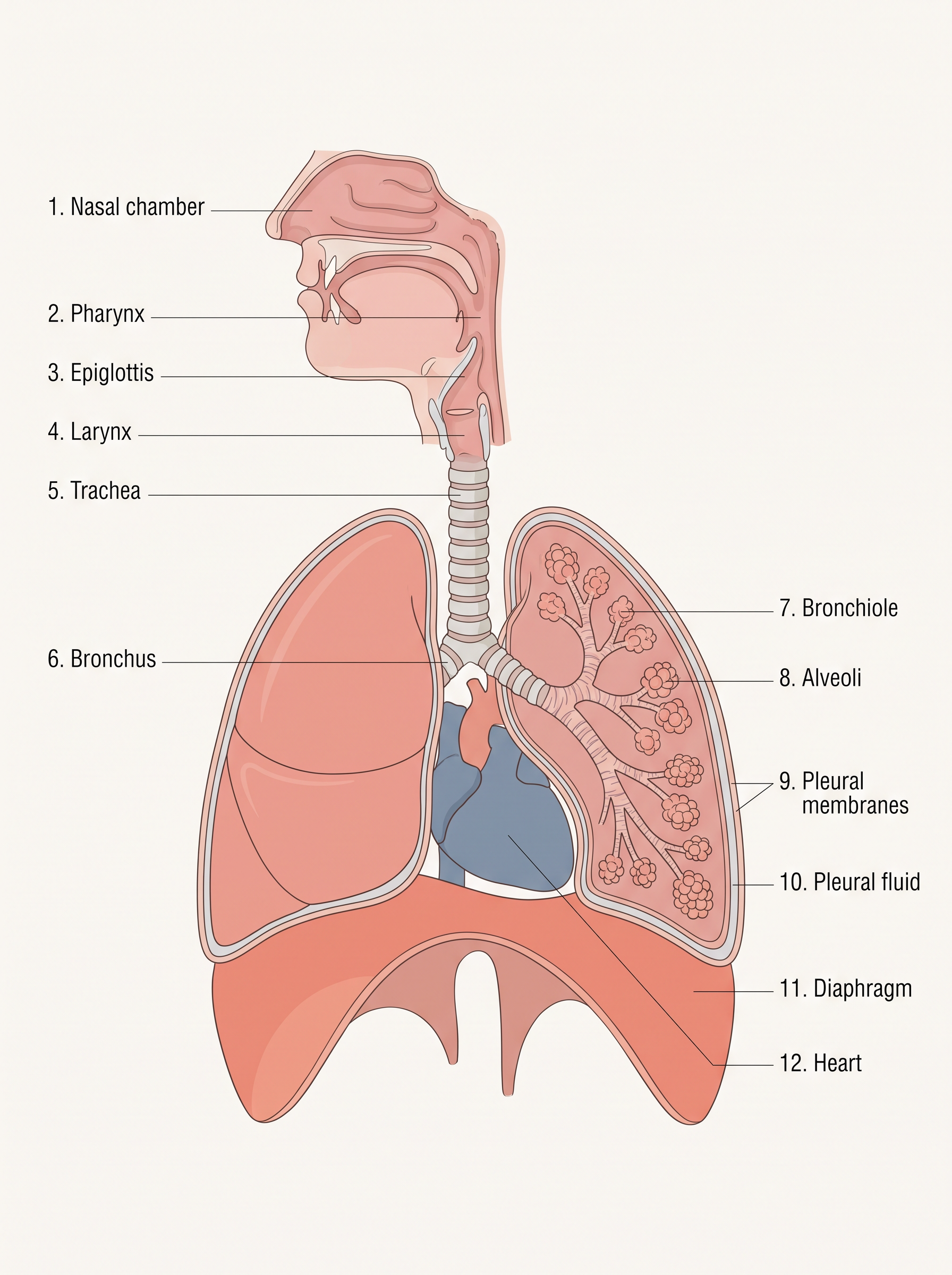 Fig. 14.1