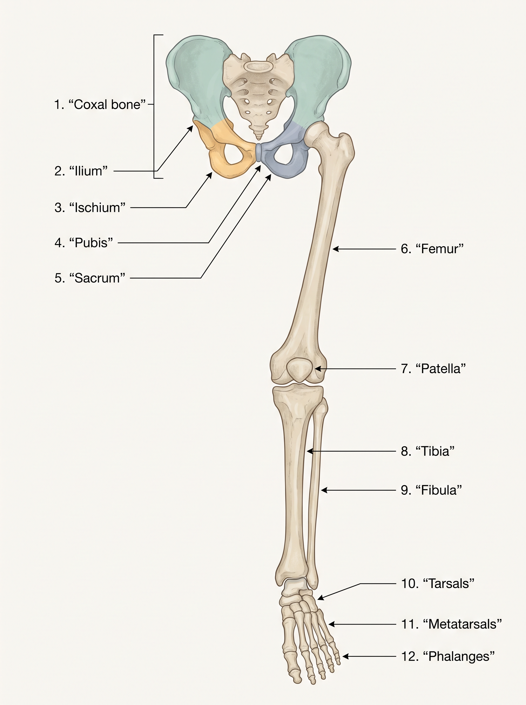 Fig. 17.10