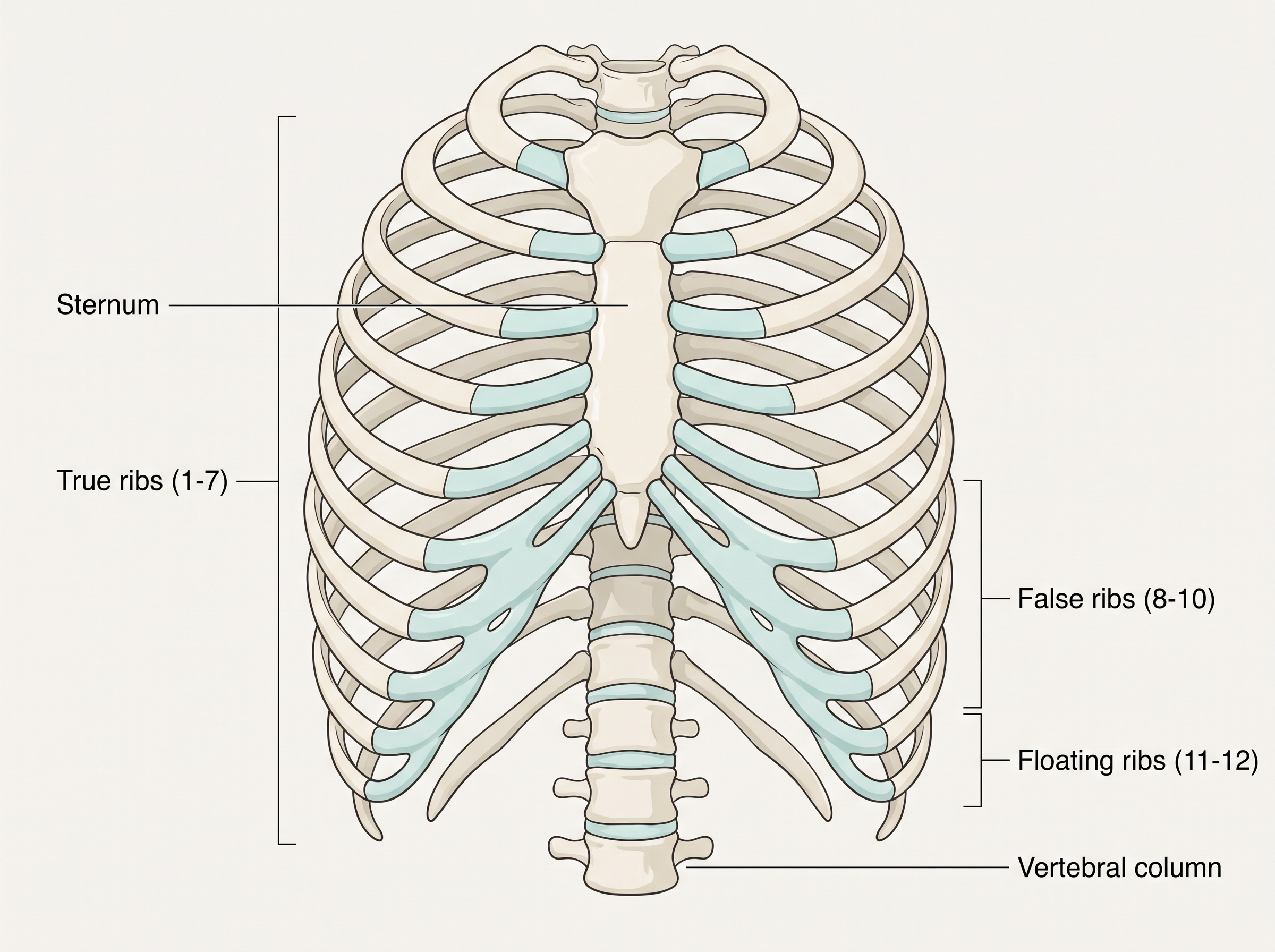 Fig. 17.8