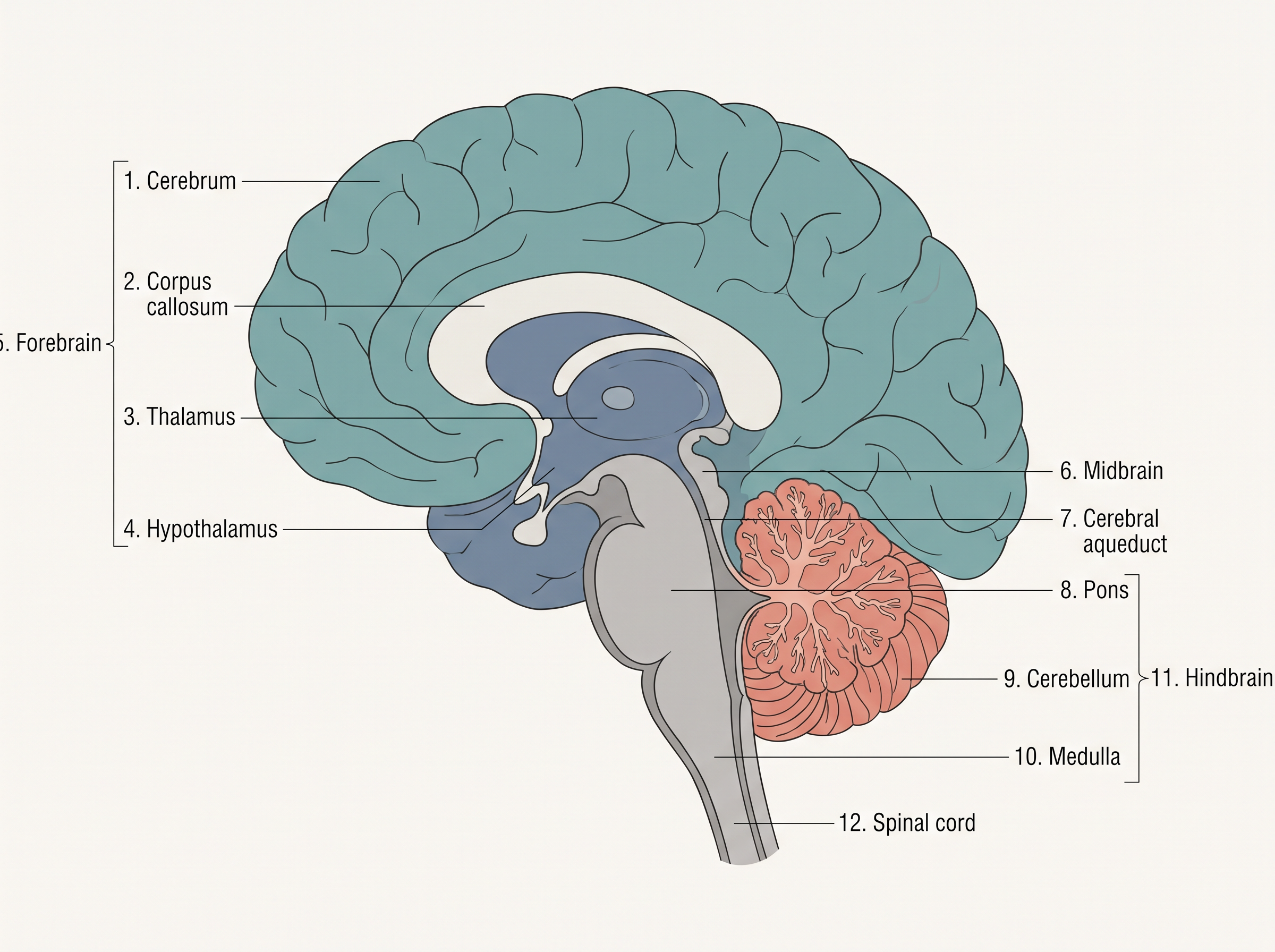 Fig. 18.4