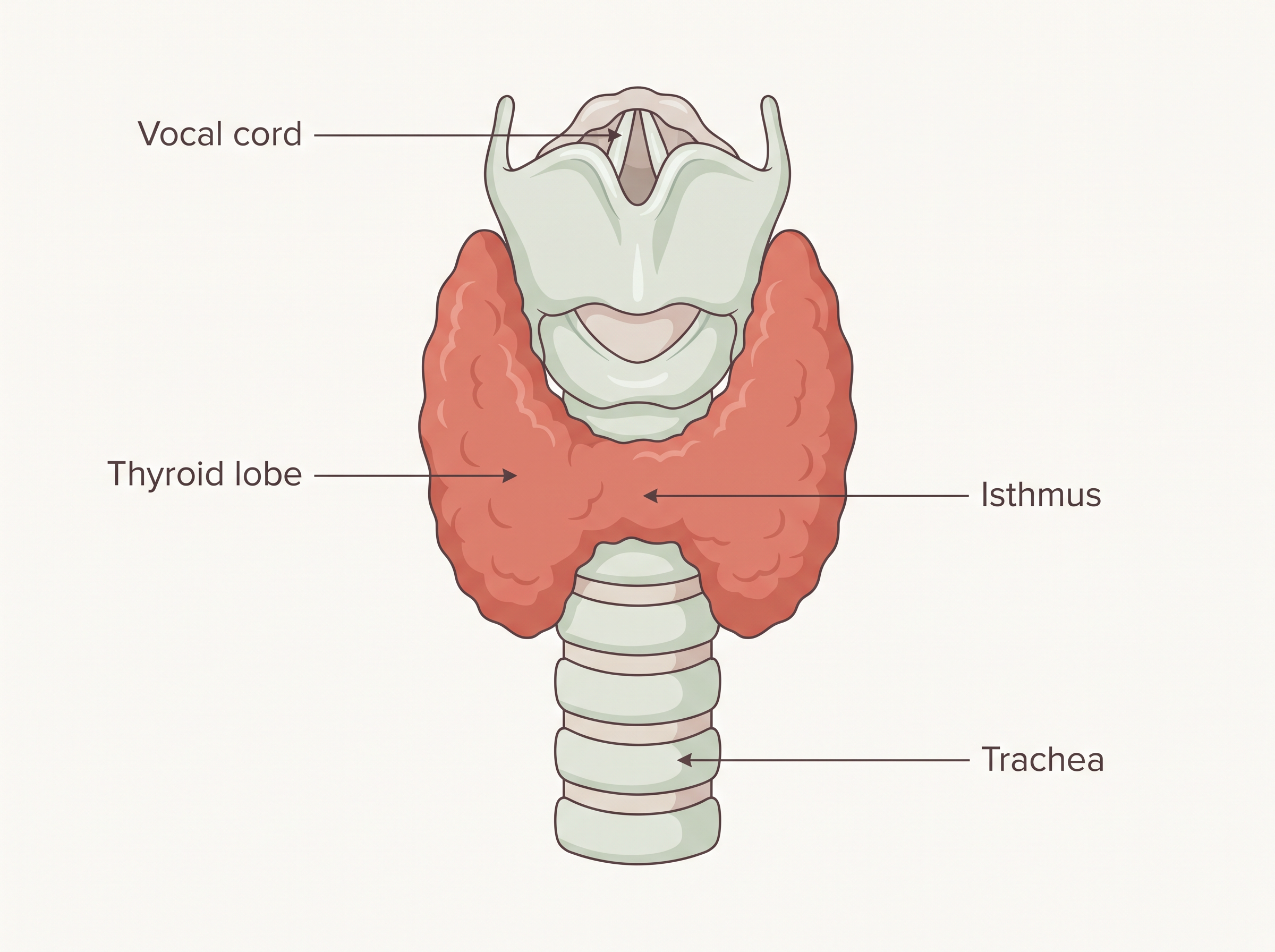Fig. 19.3a
