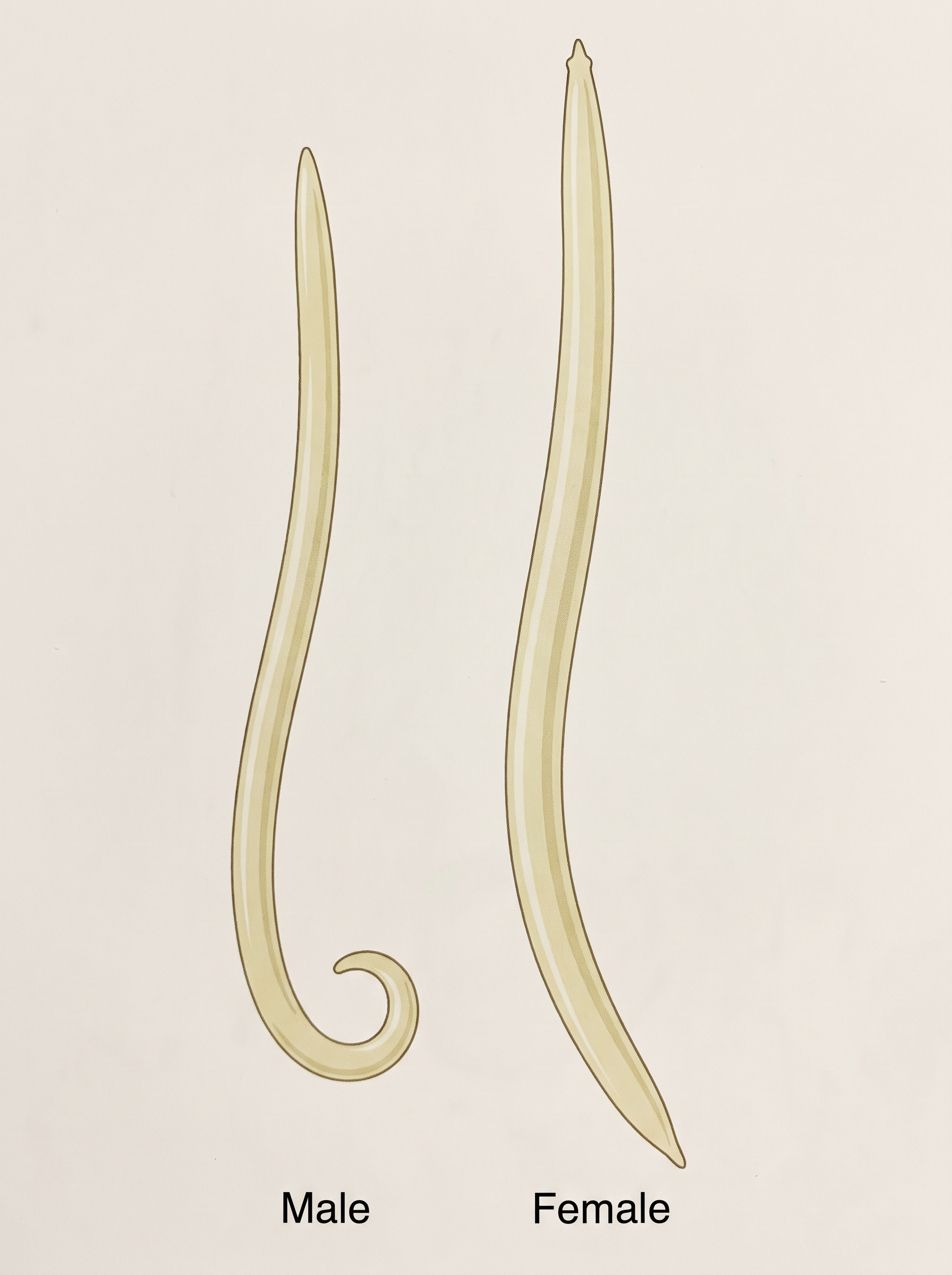 Fig. 4.9
