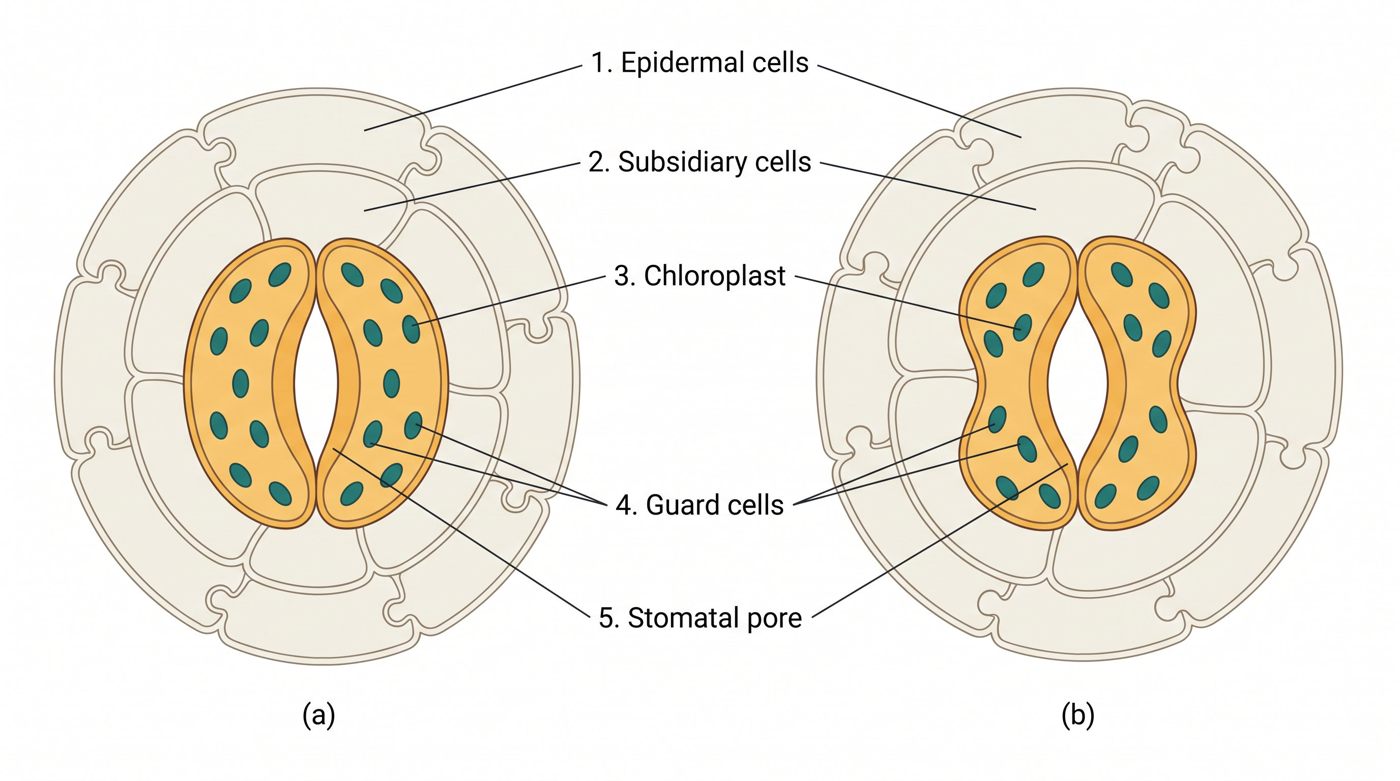 Fig. 6.1