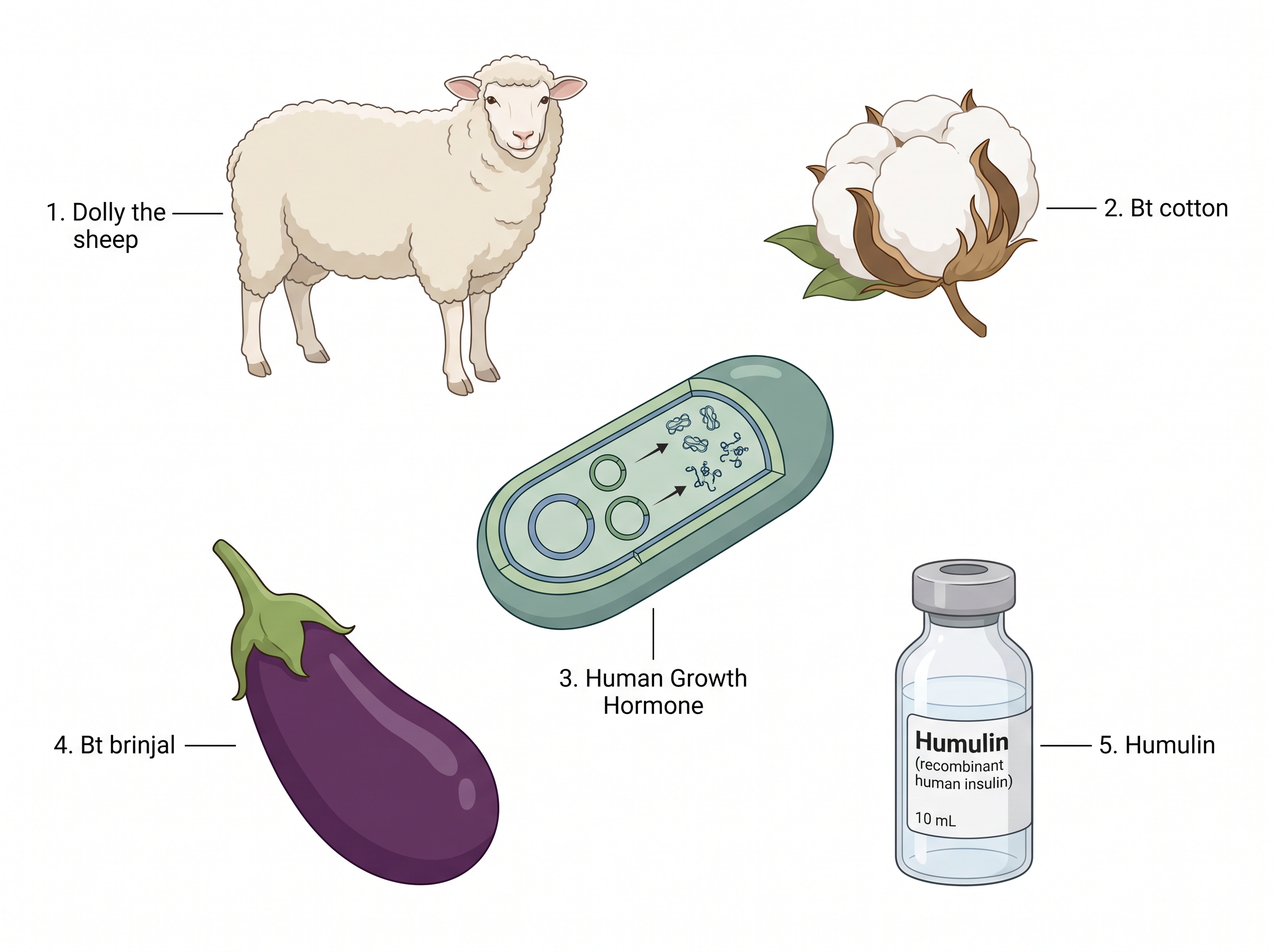 Fig. 1.6