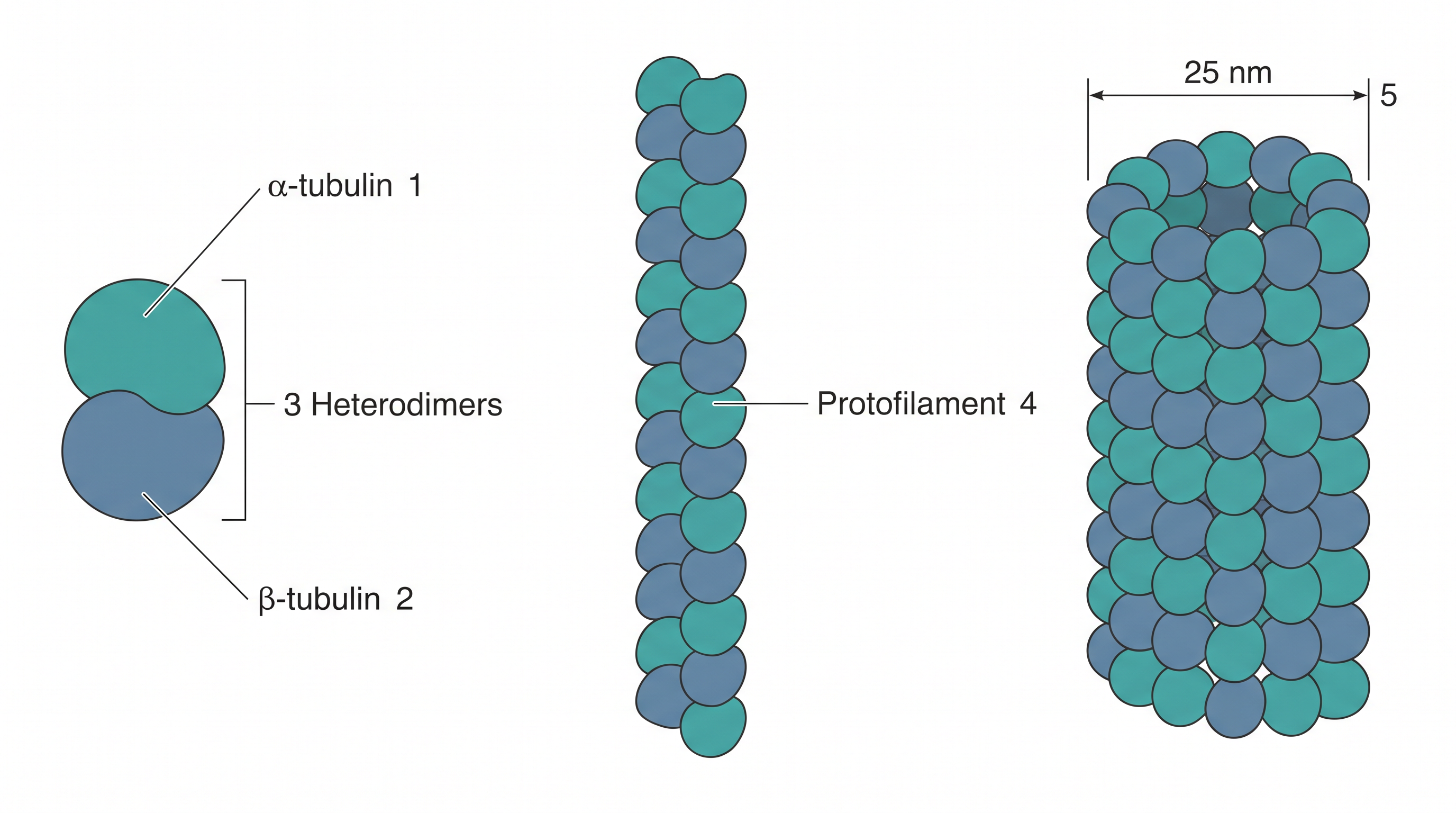 Fig. 2.18