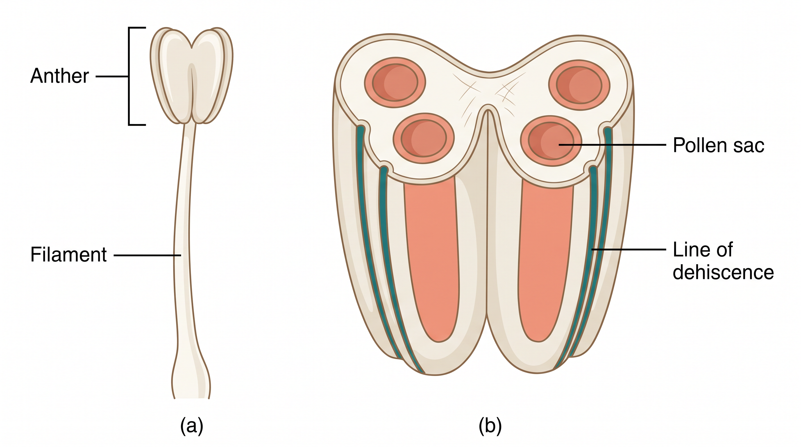 Fig. 1.1