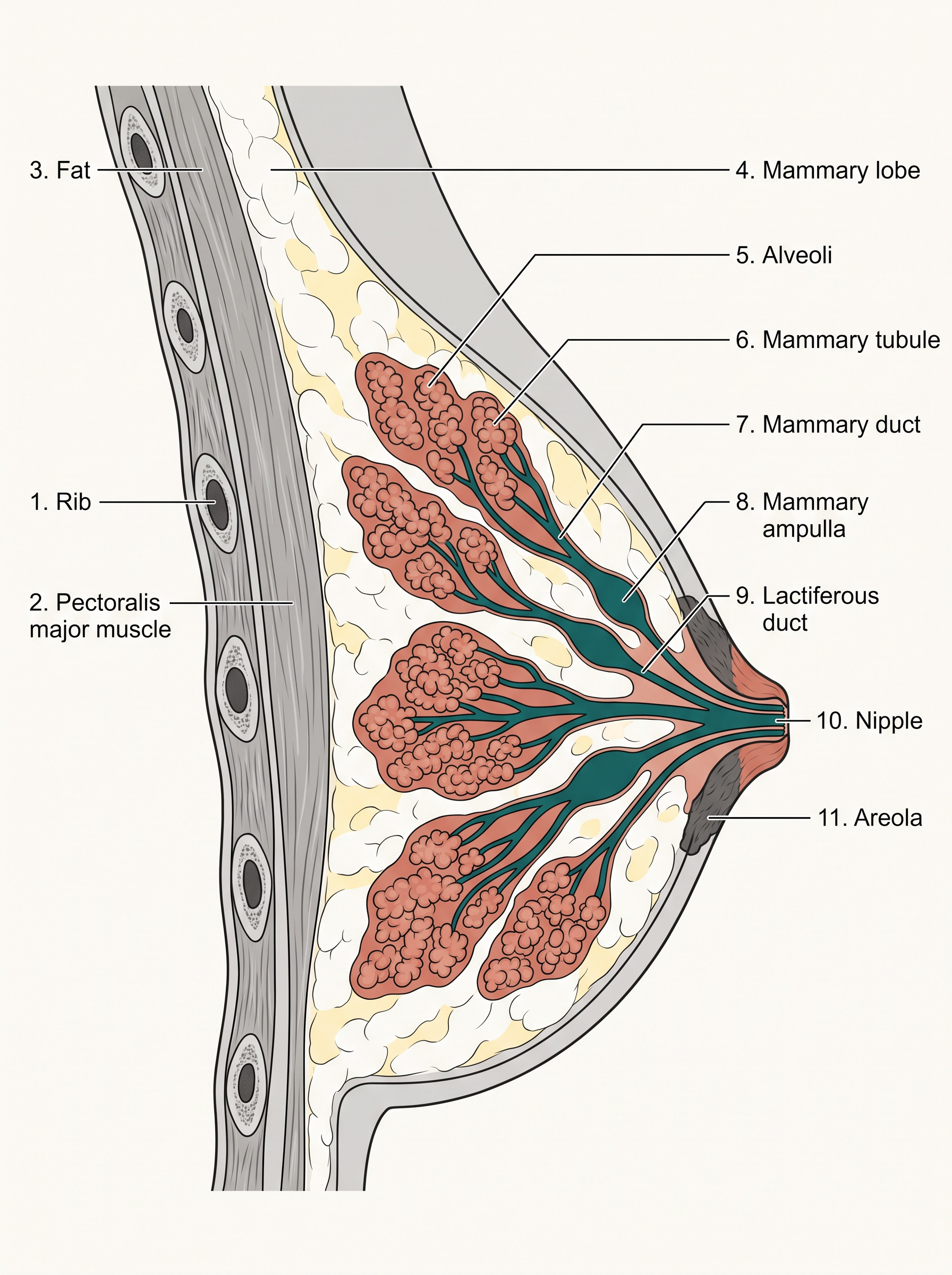 Fig. 2.6