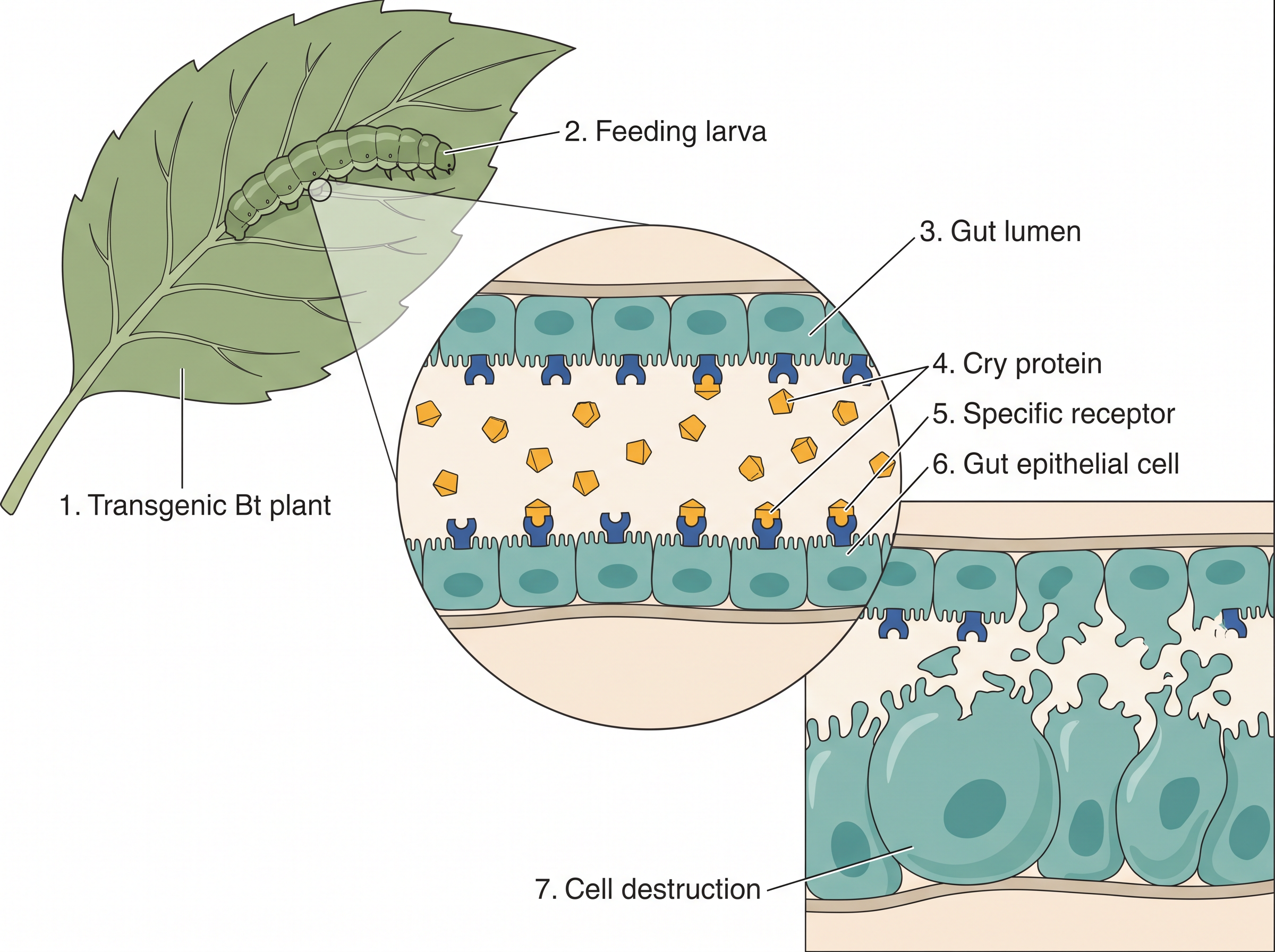 Fig. 12.8
