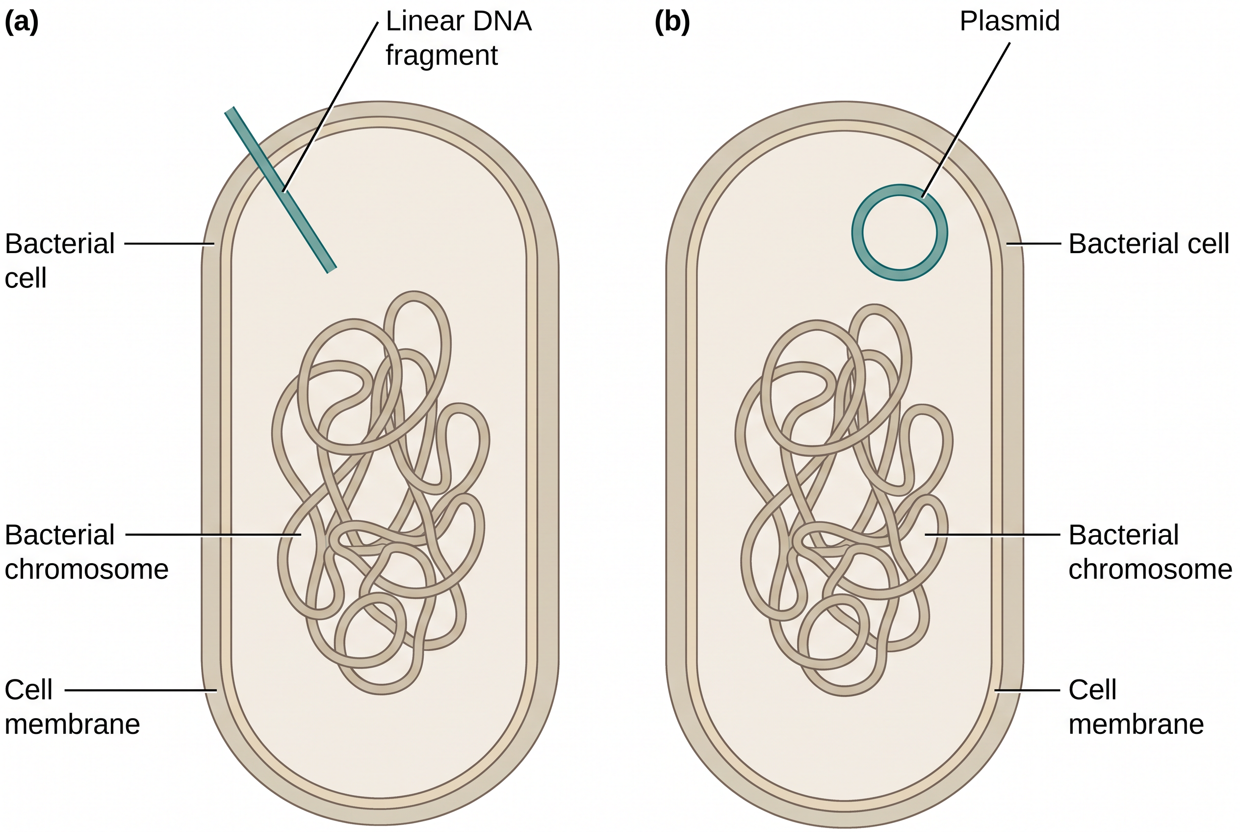 Fig. 3.14