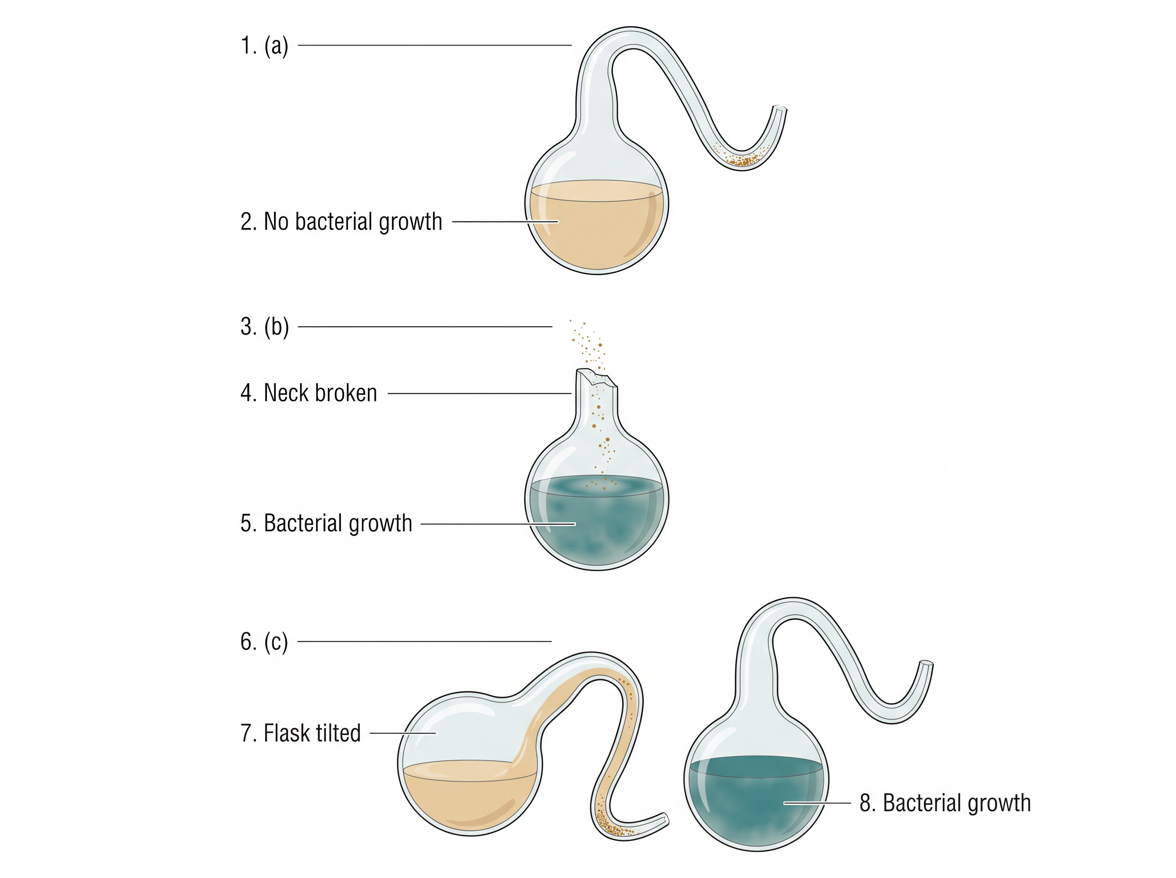 Fig. 6.1