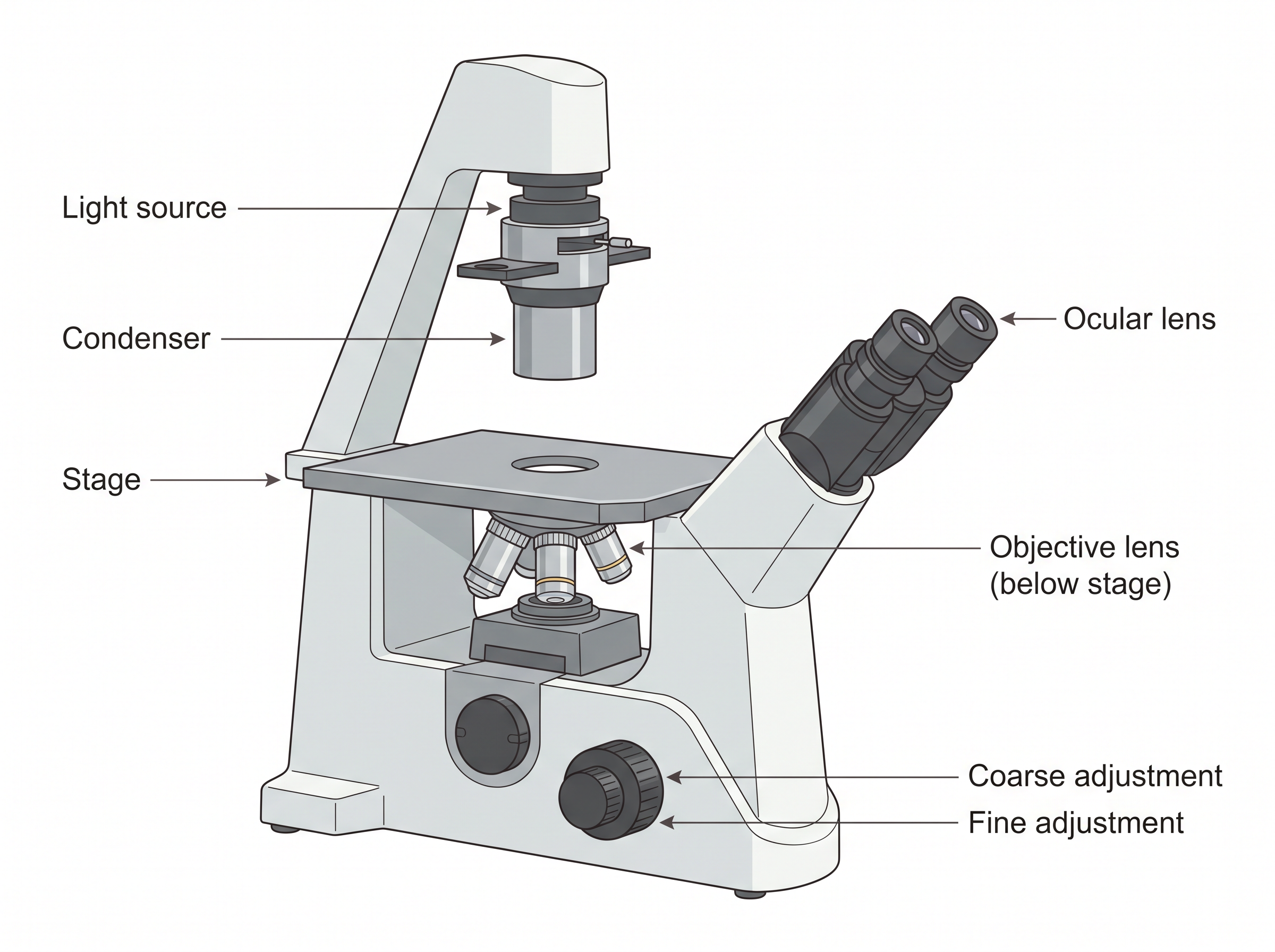 Fig. 8.12