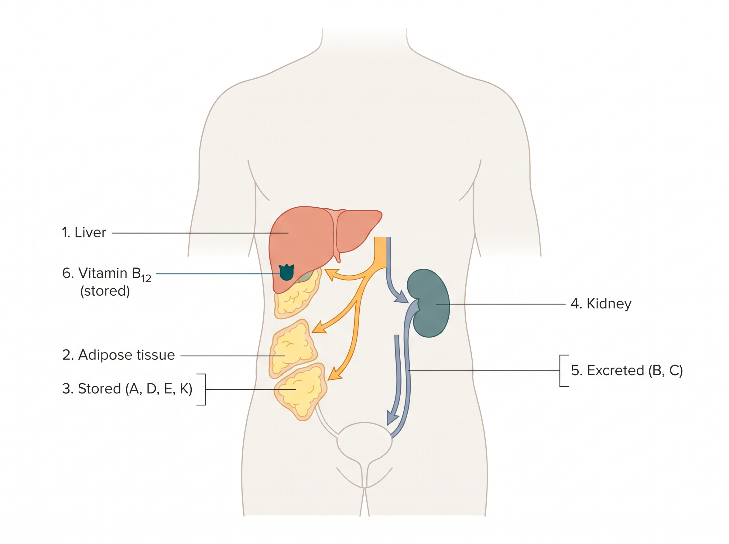 Fig. 10.35