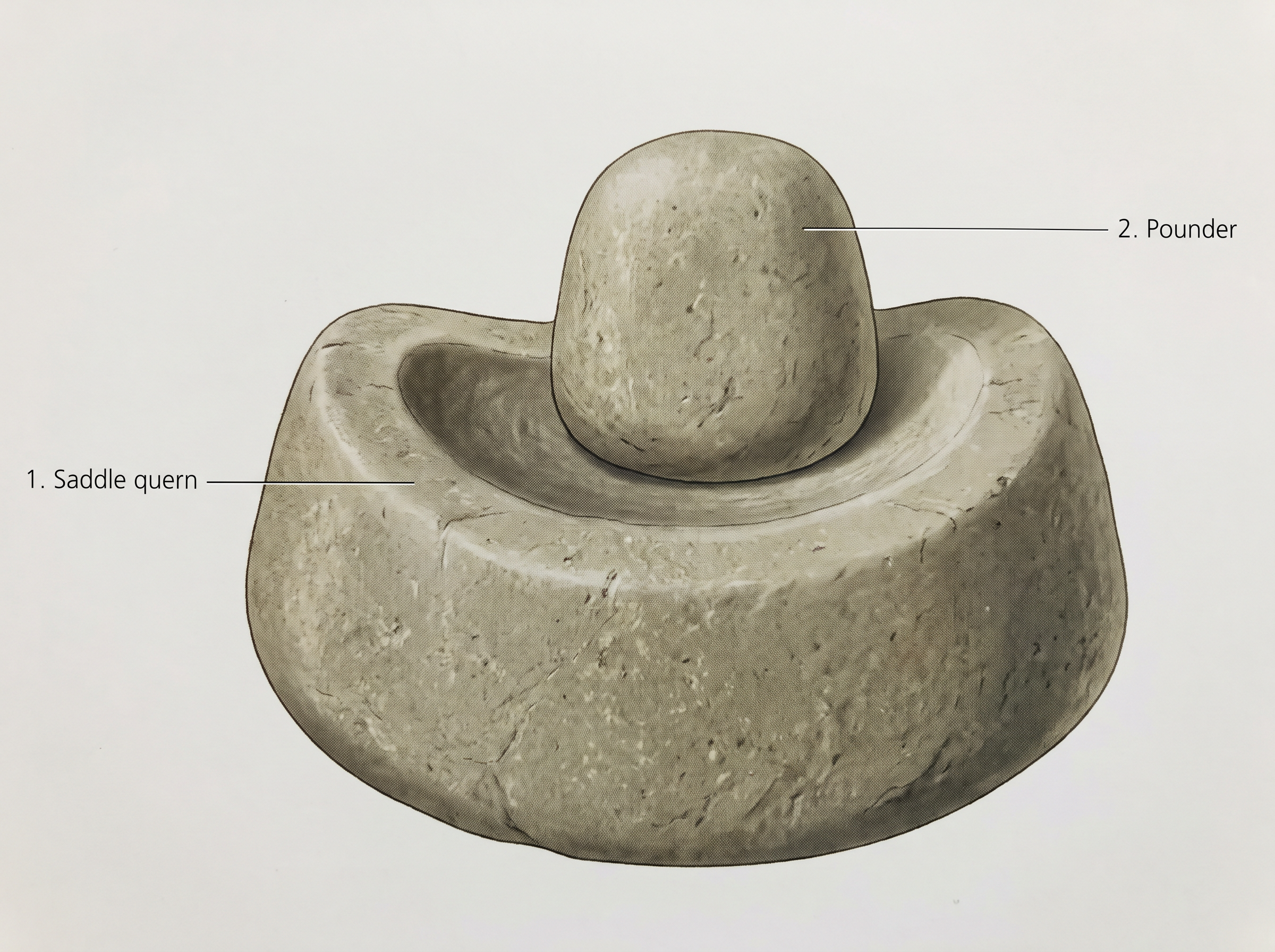 Fig. 1.7