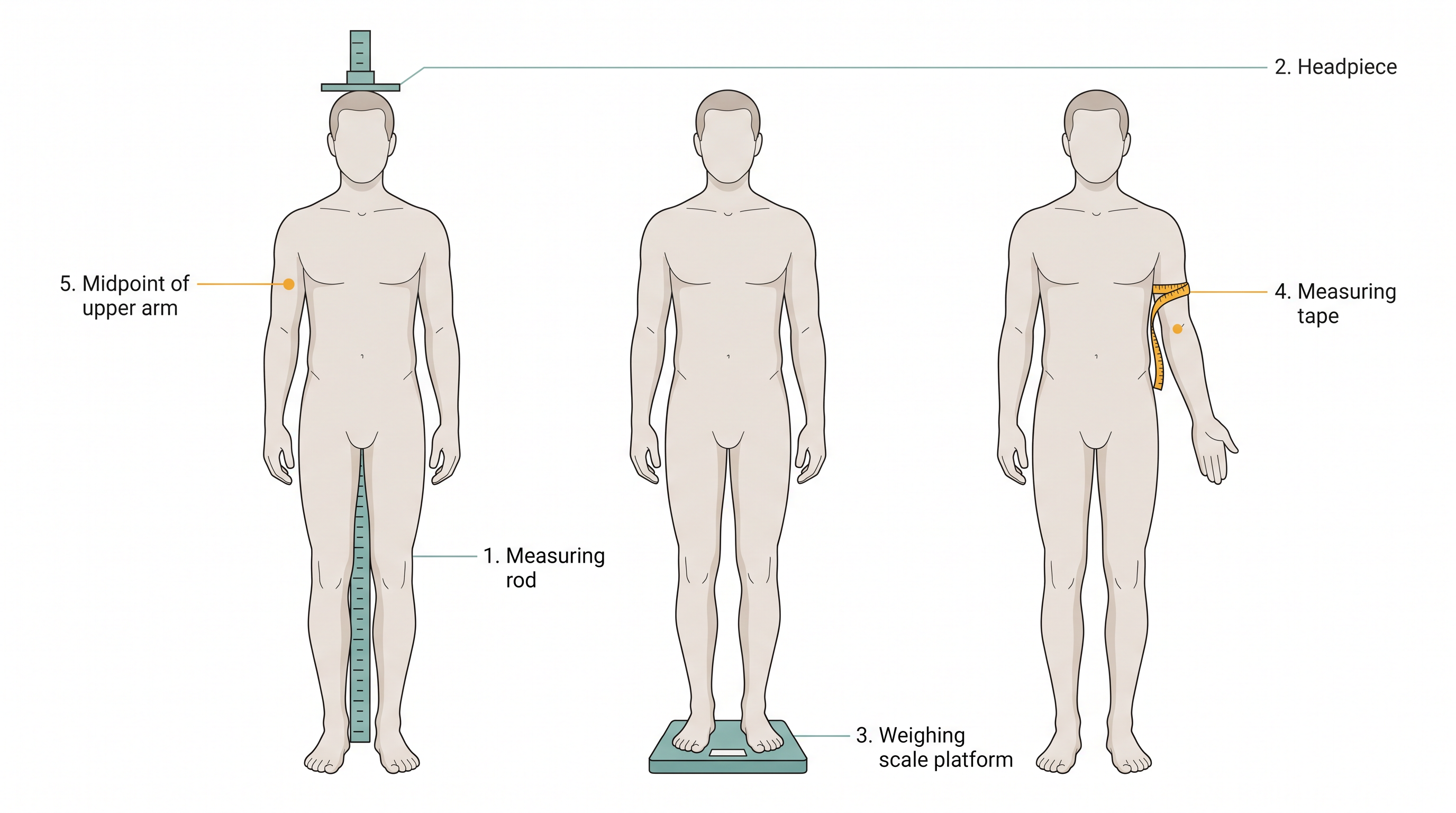 Fig. 2.3