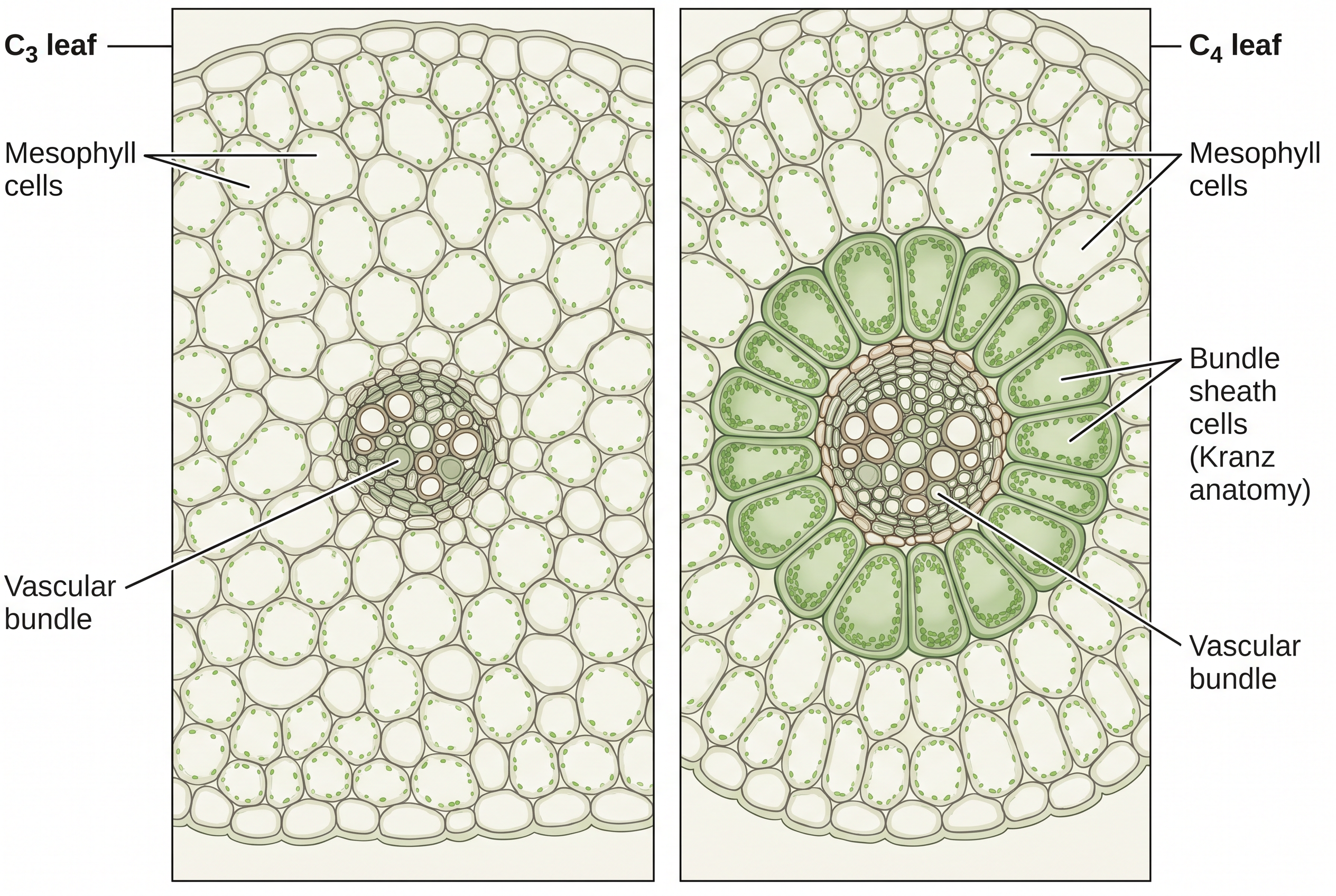 Fig. 11.14