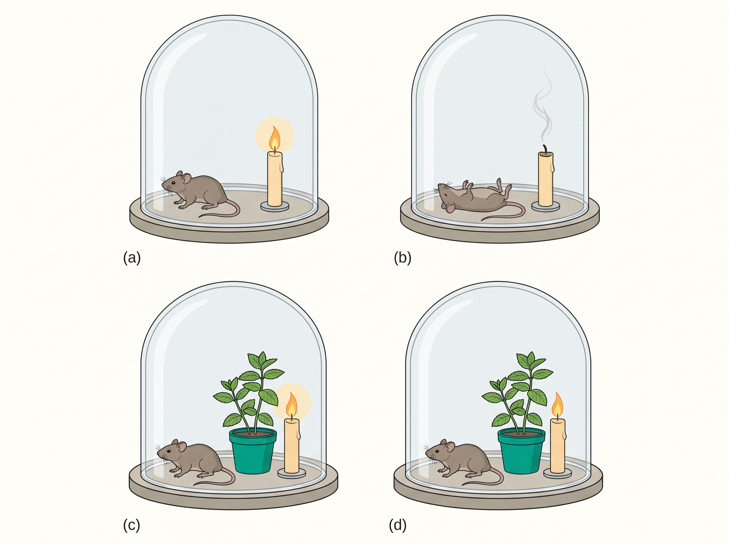 Fig. 11.2