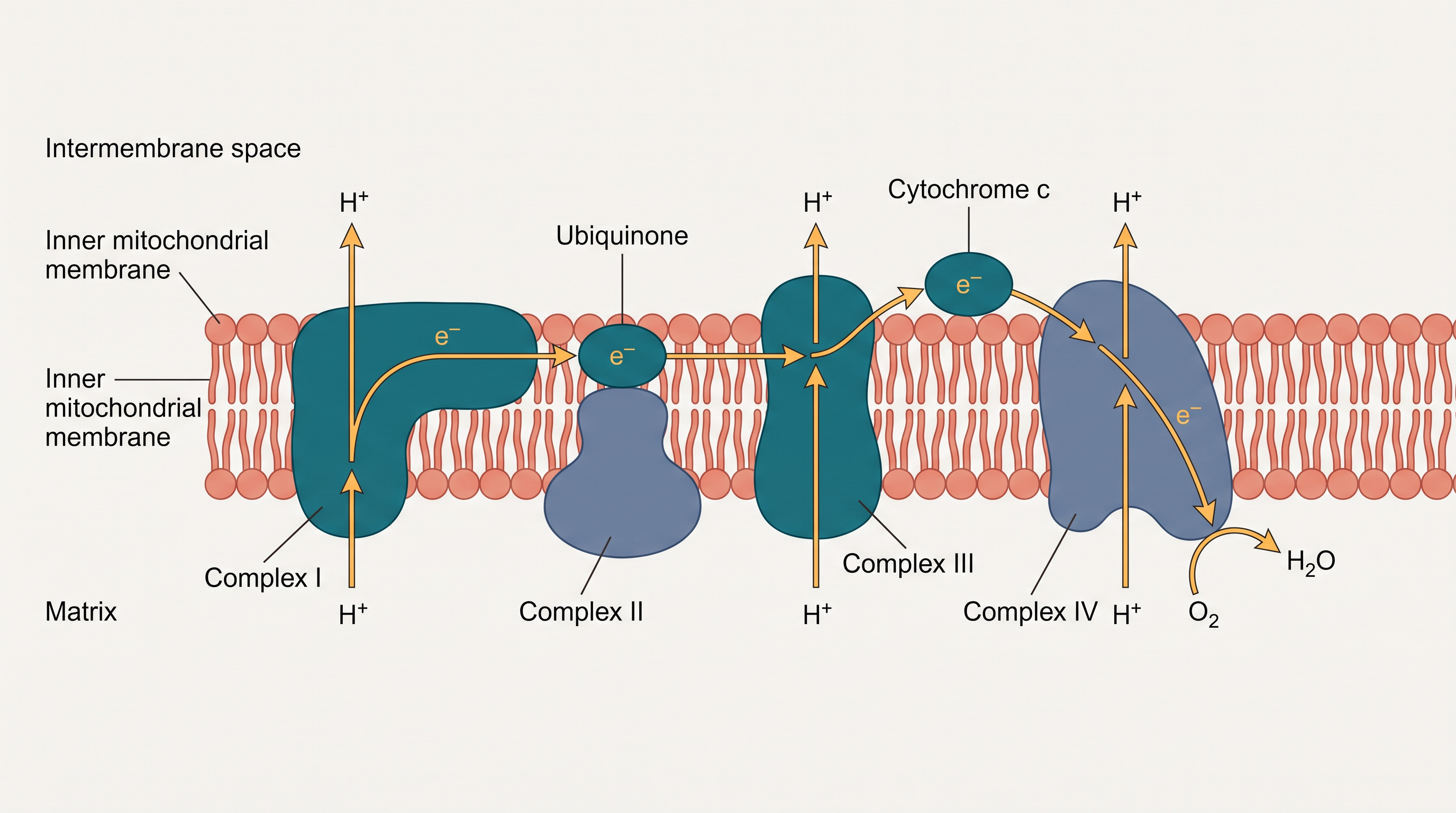 Fig. 12.6