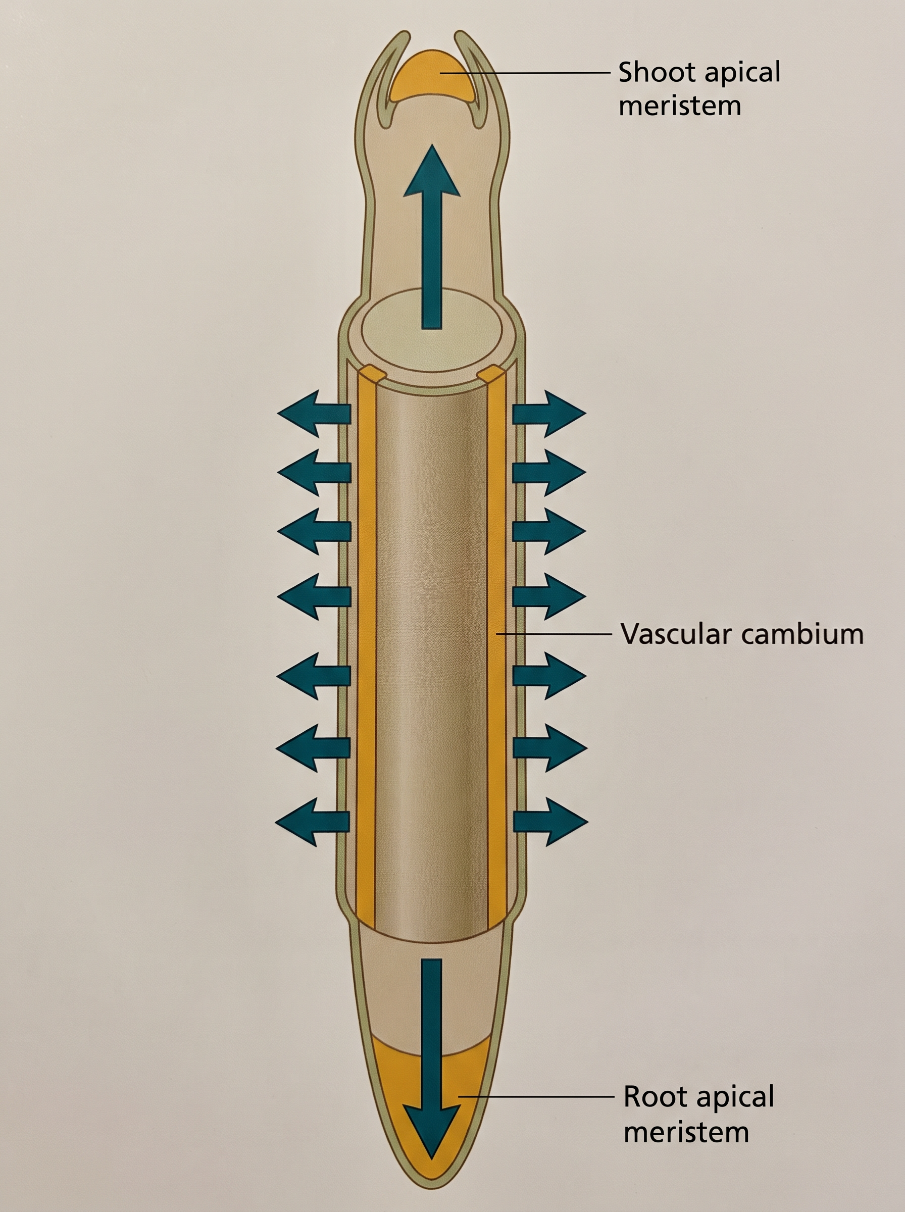 Fig. 13.2