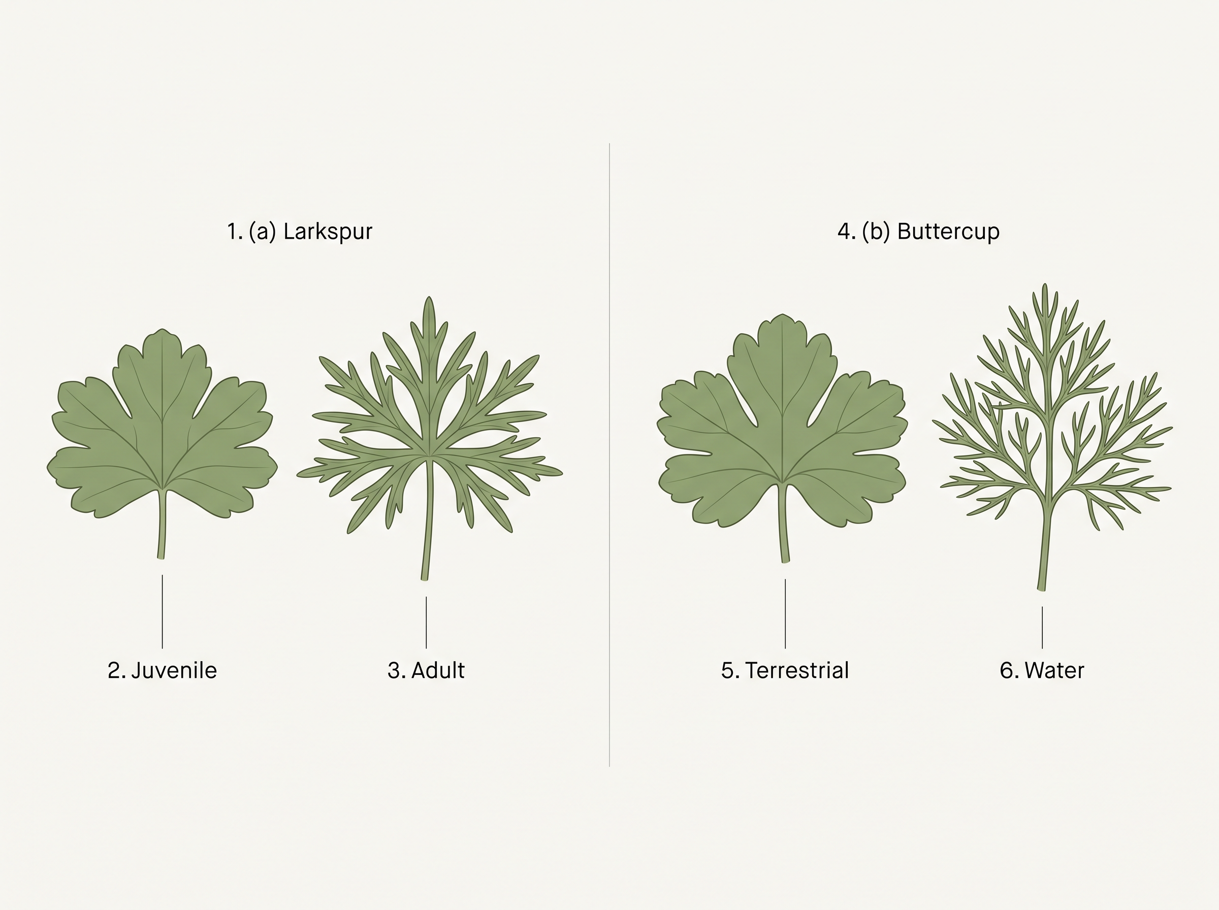 Fig. 13.8