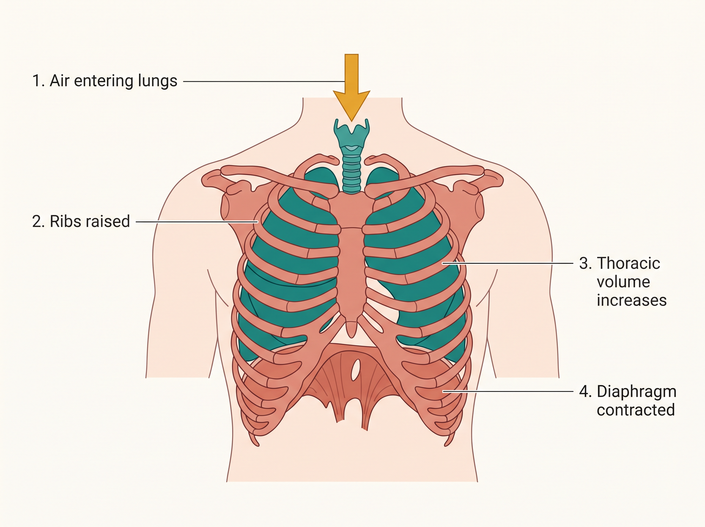 Fig. 14.2a