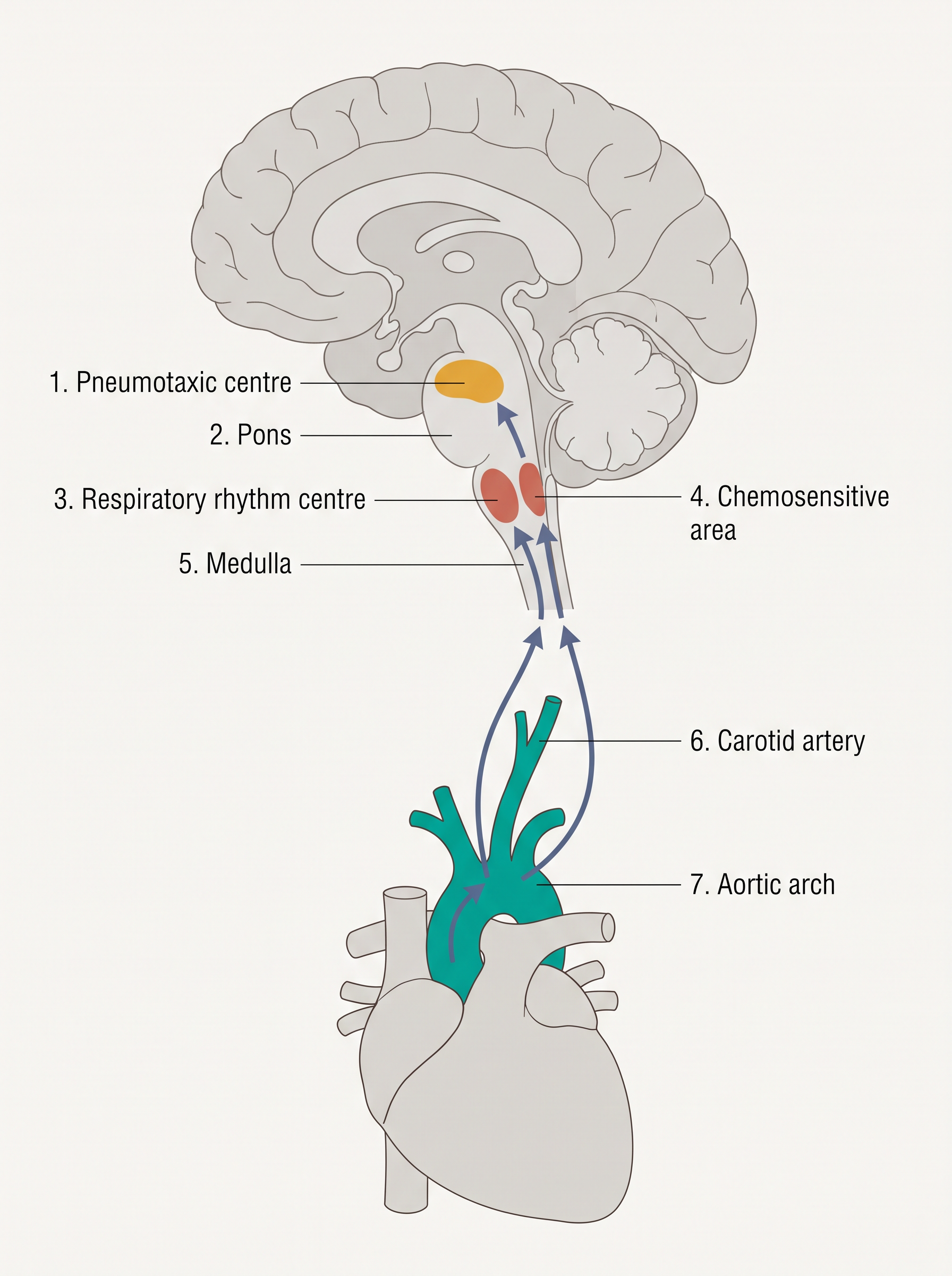 Fig. 14.8
