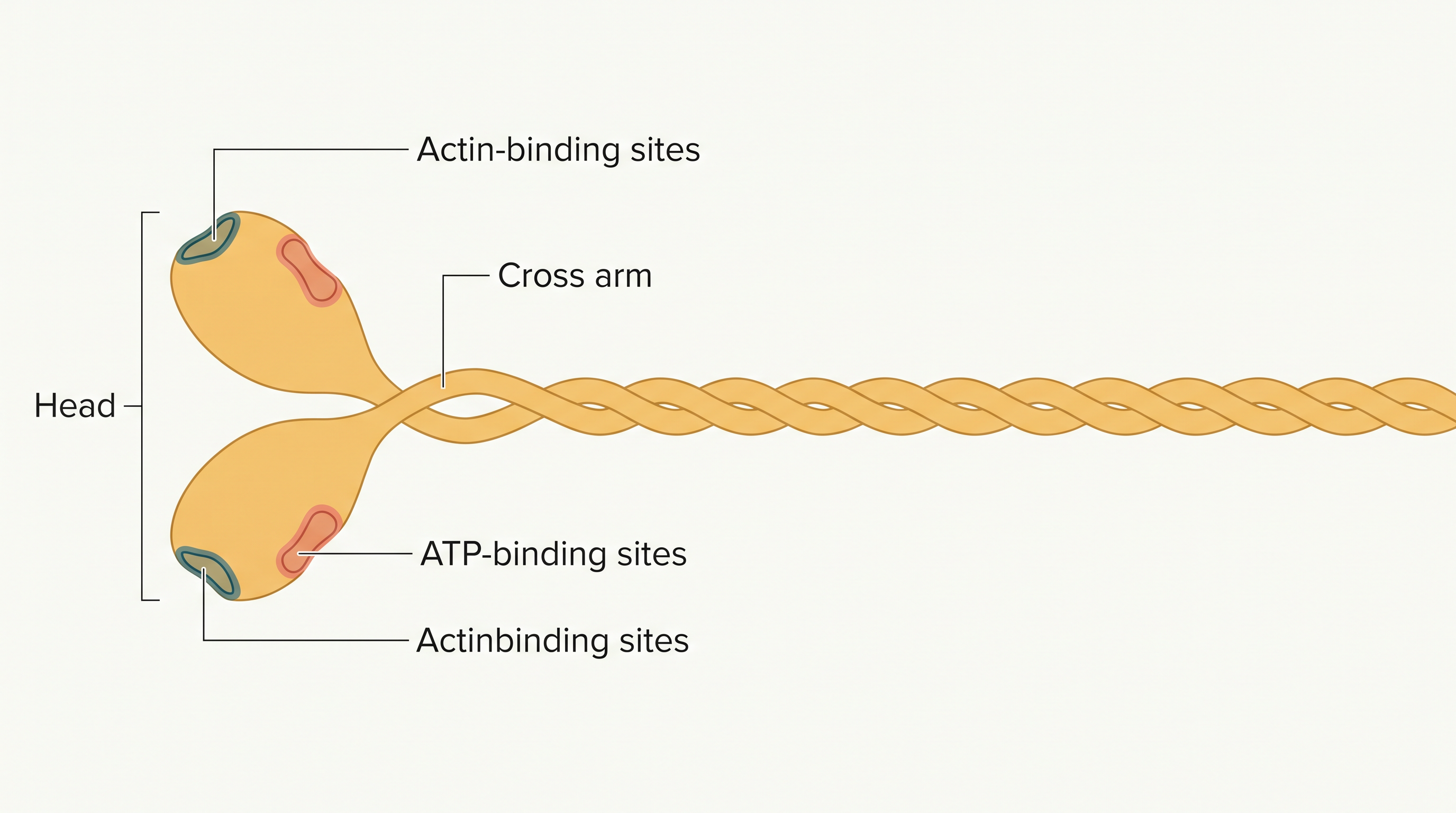 Fig. 17.3b