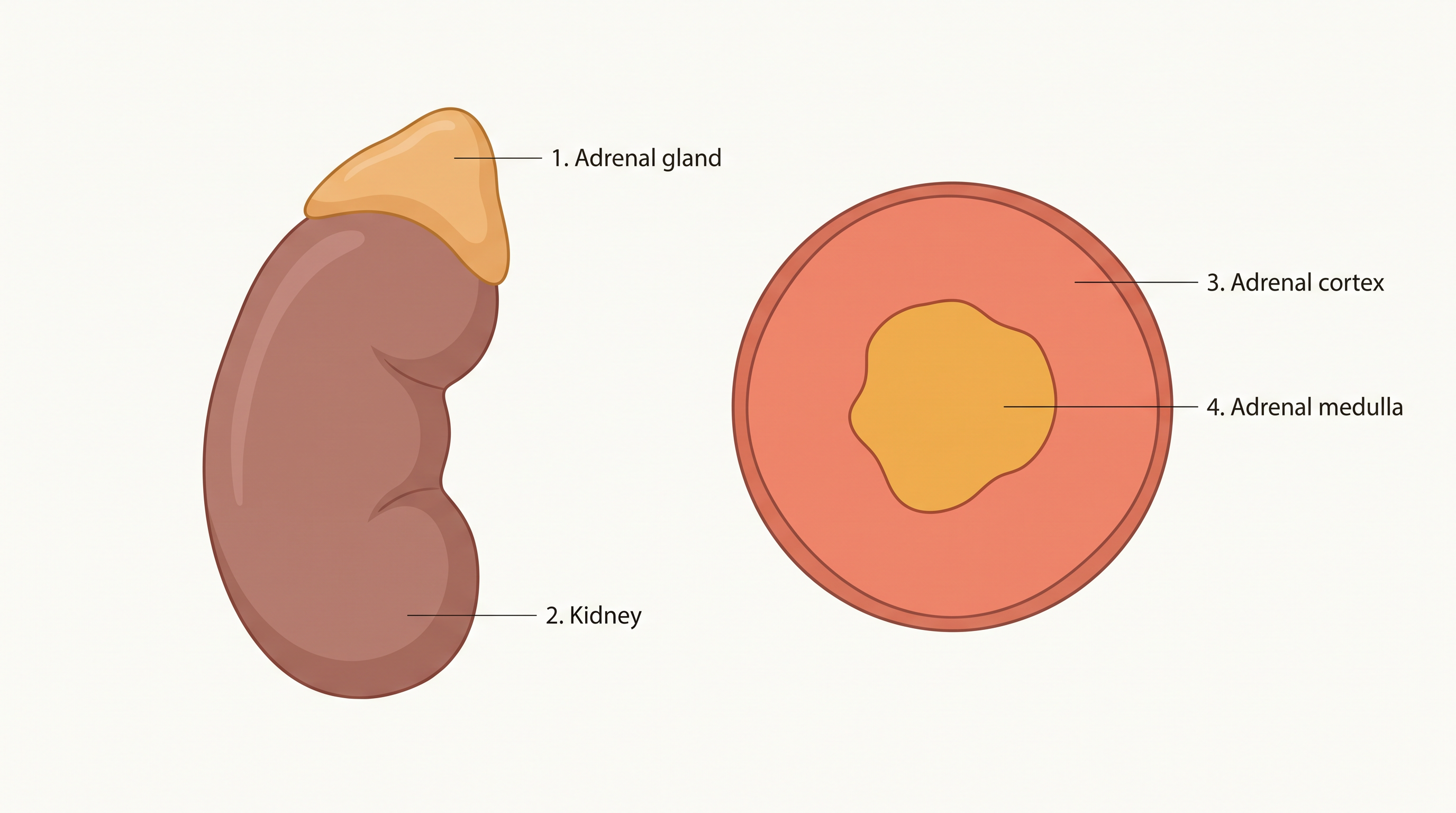 Fig. 19.4