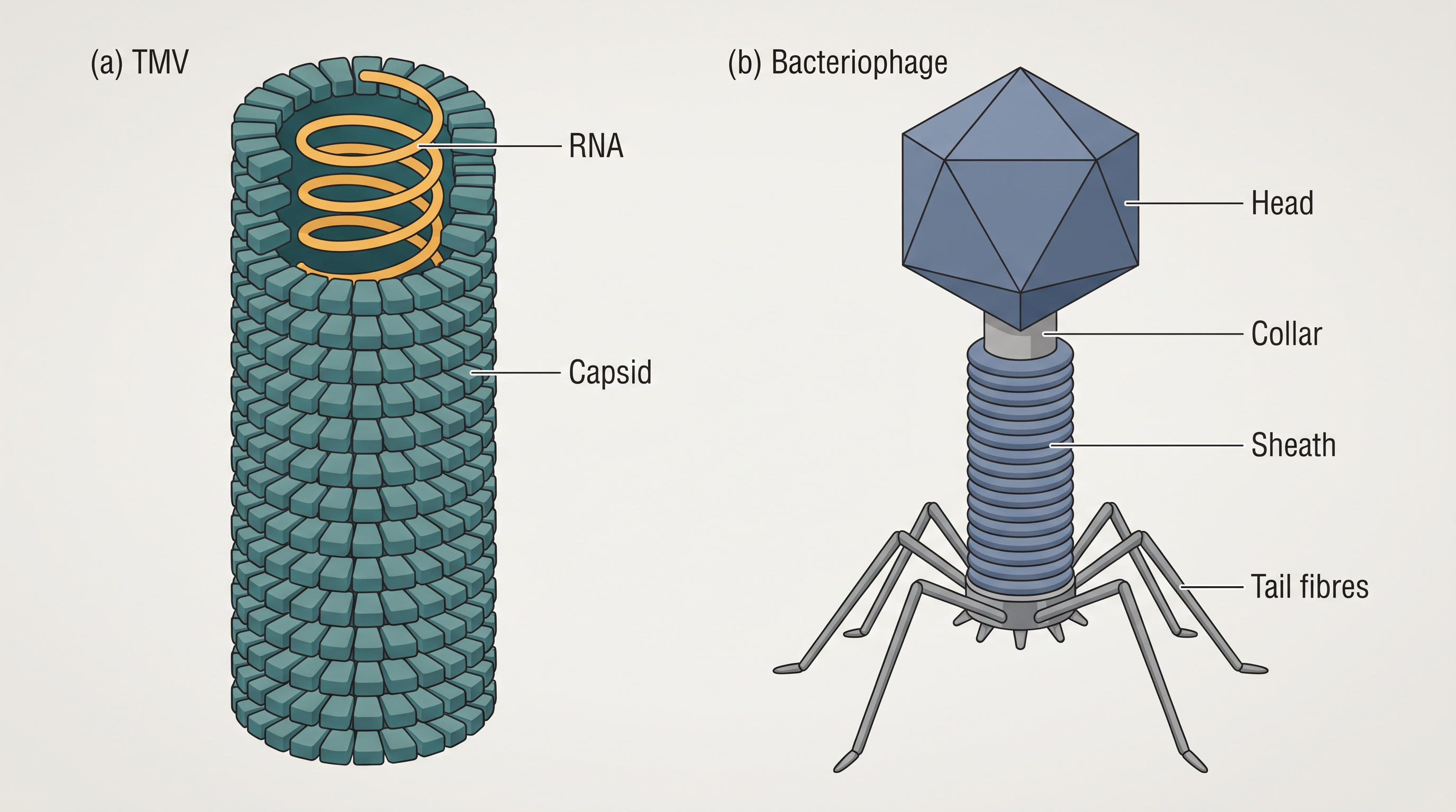 Fig. 2.6