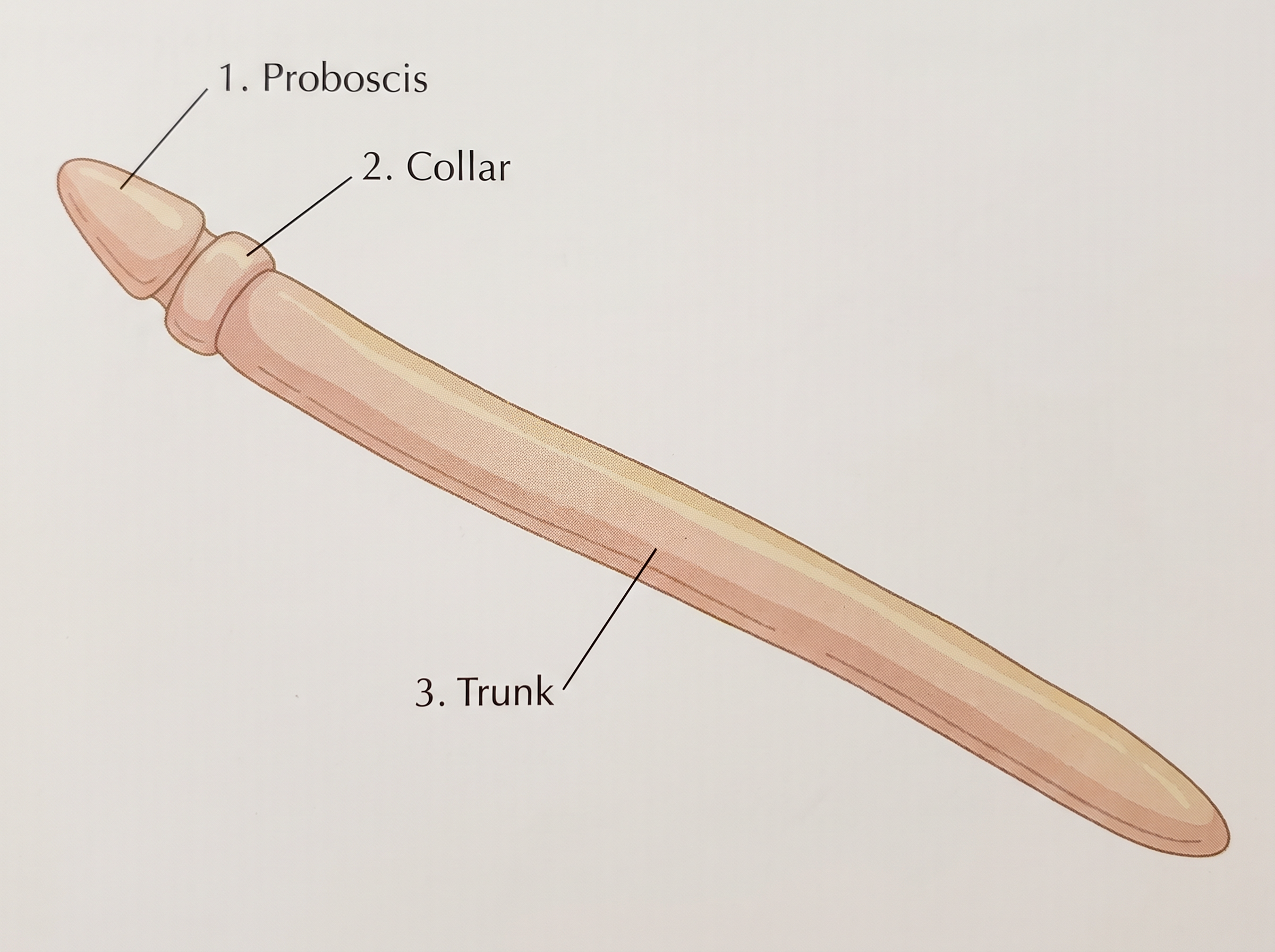 Fig. 4.14