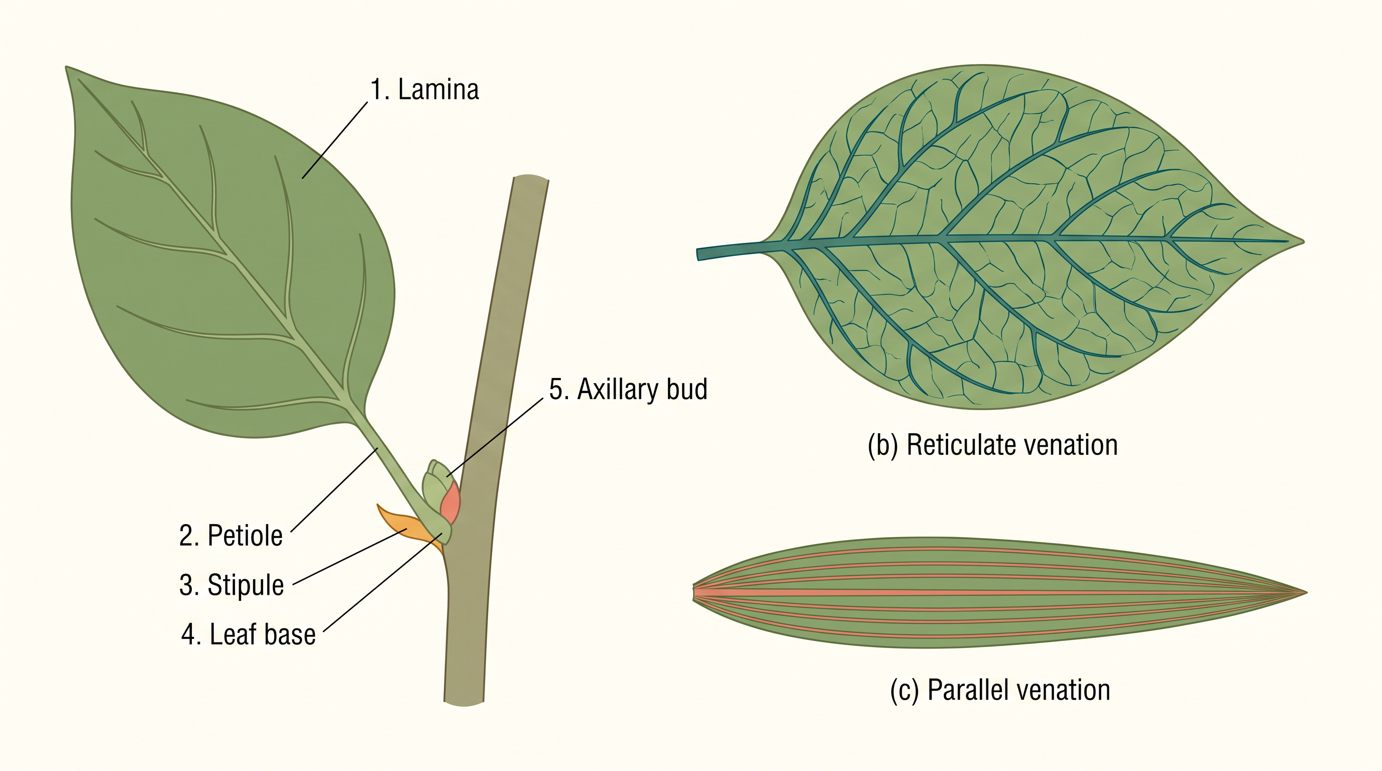 Fig. 5.4