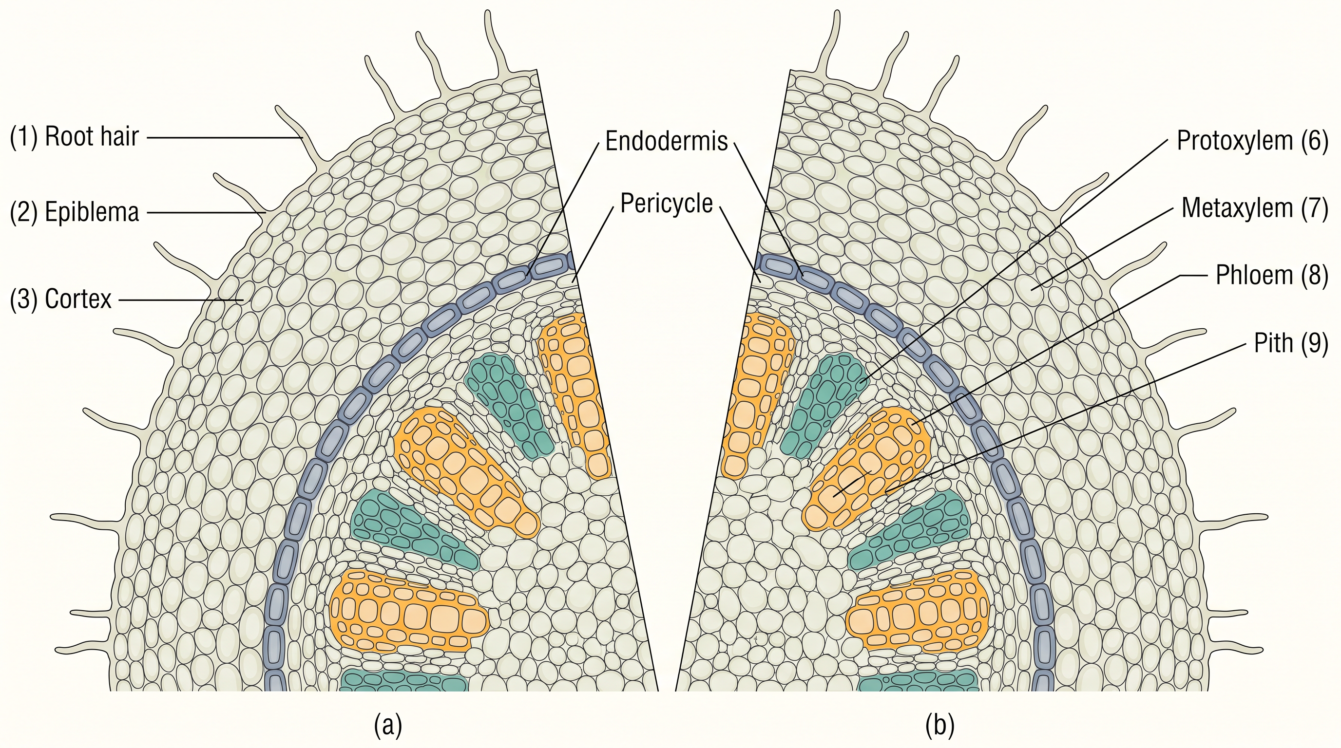 Fig. 6.3