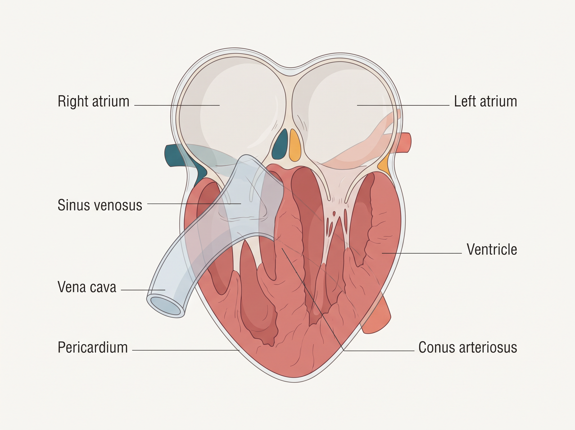 Fig. 7.3