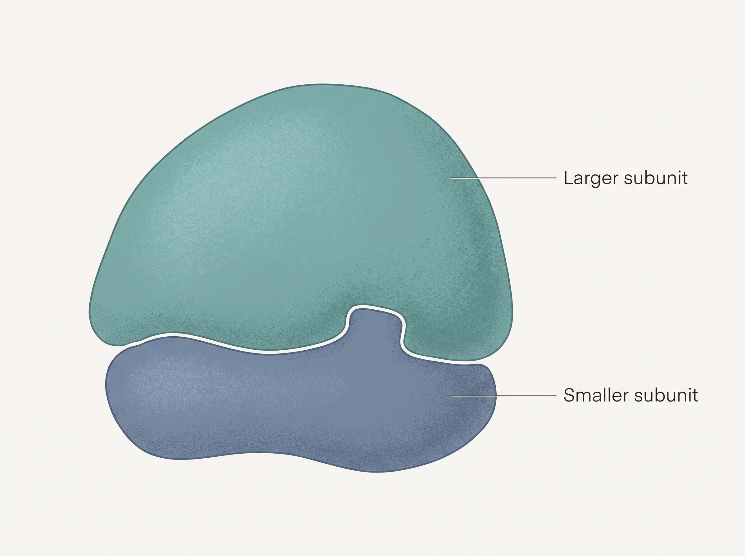 Fig. 8.15