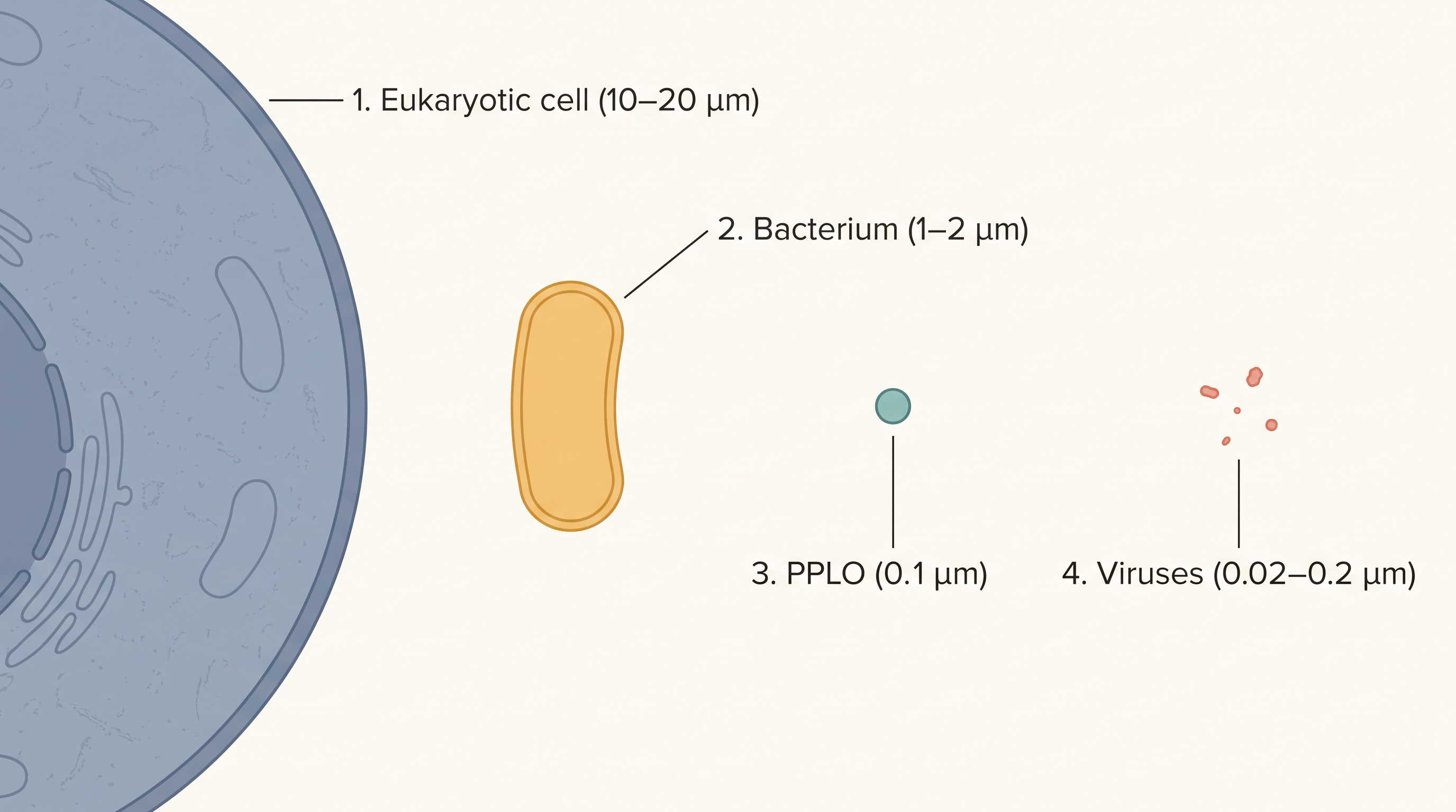 Fig. 8.2