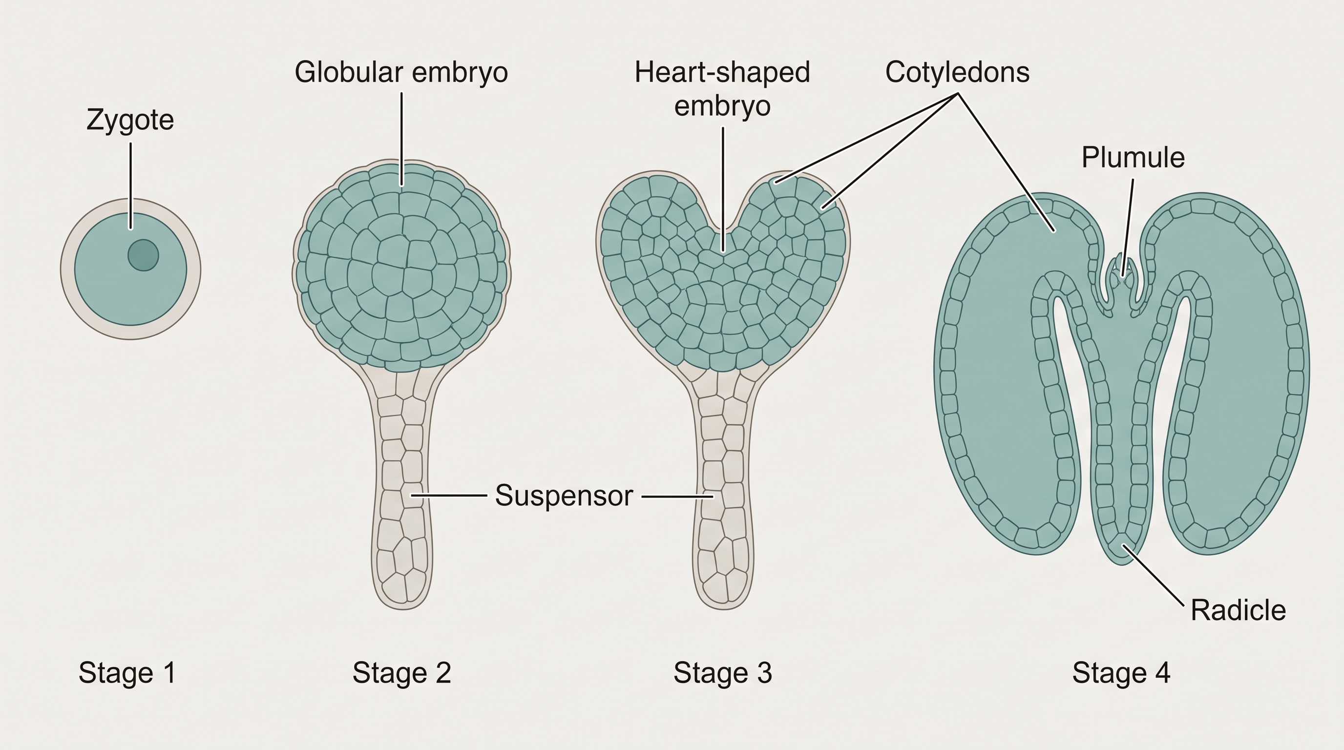 Fig. 1.13