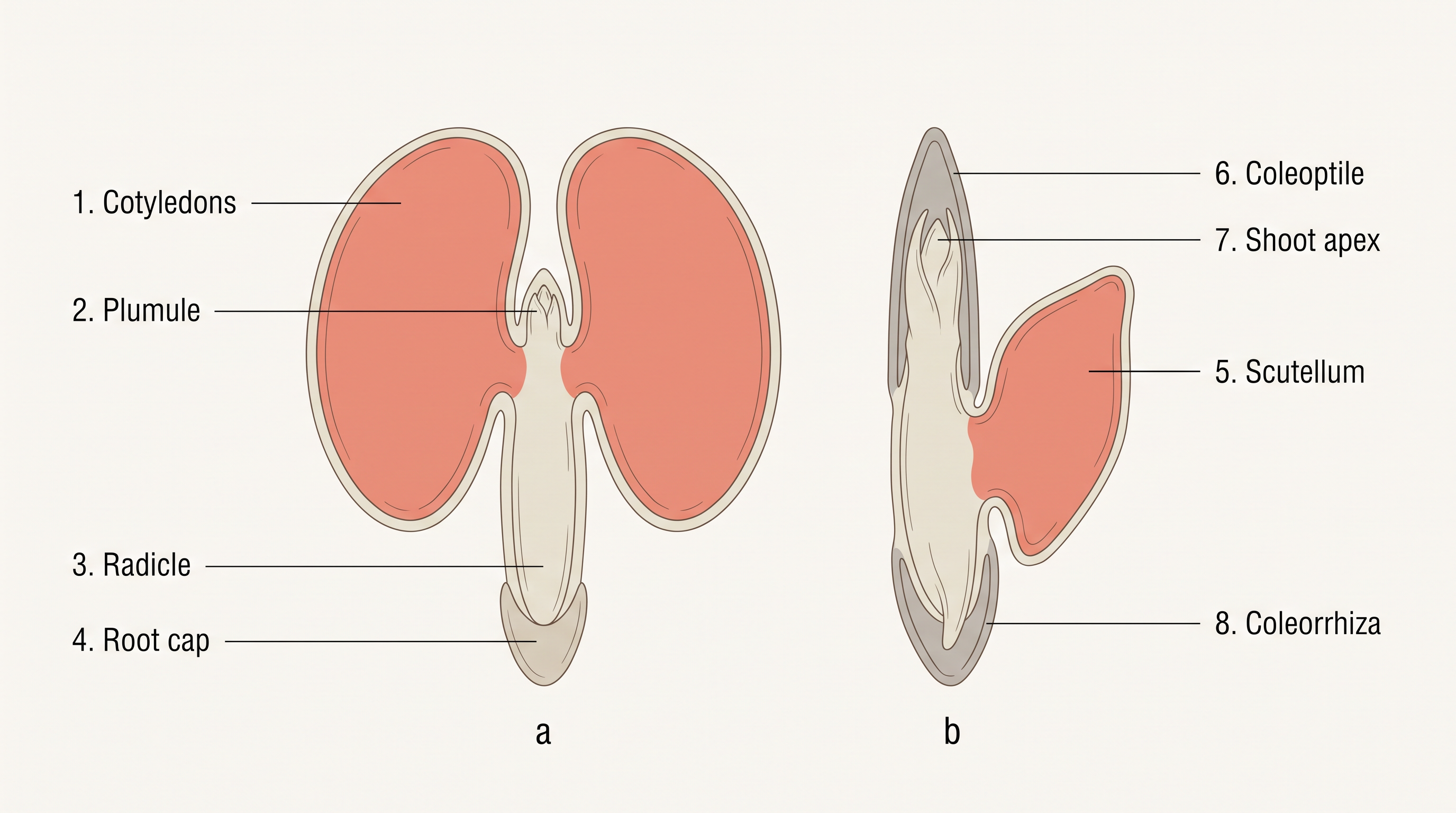 Fig. 1.14