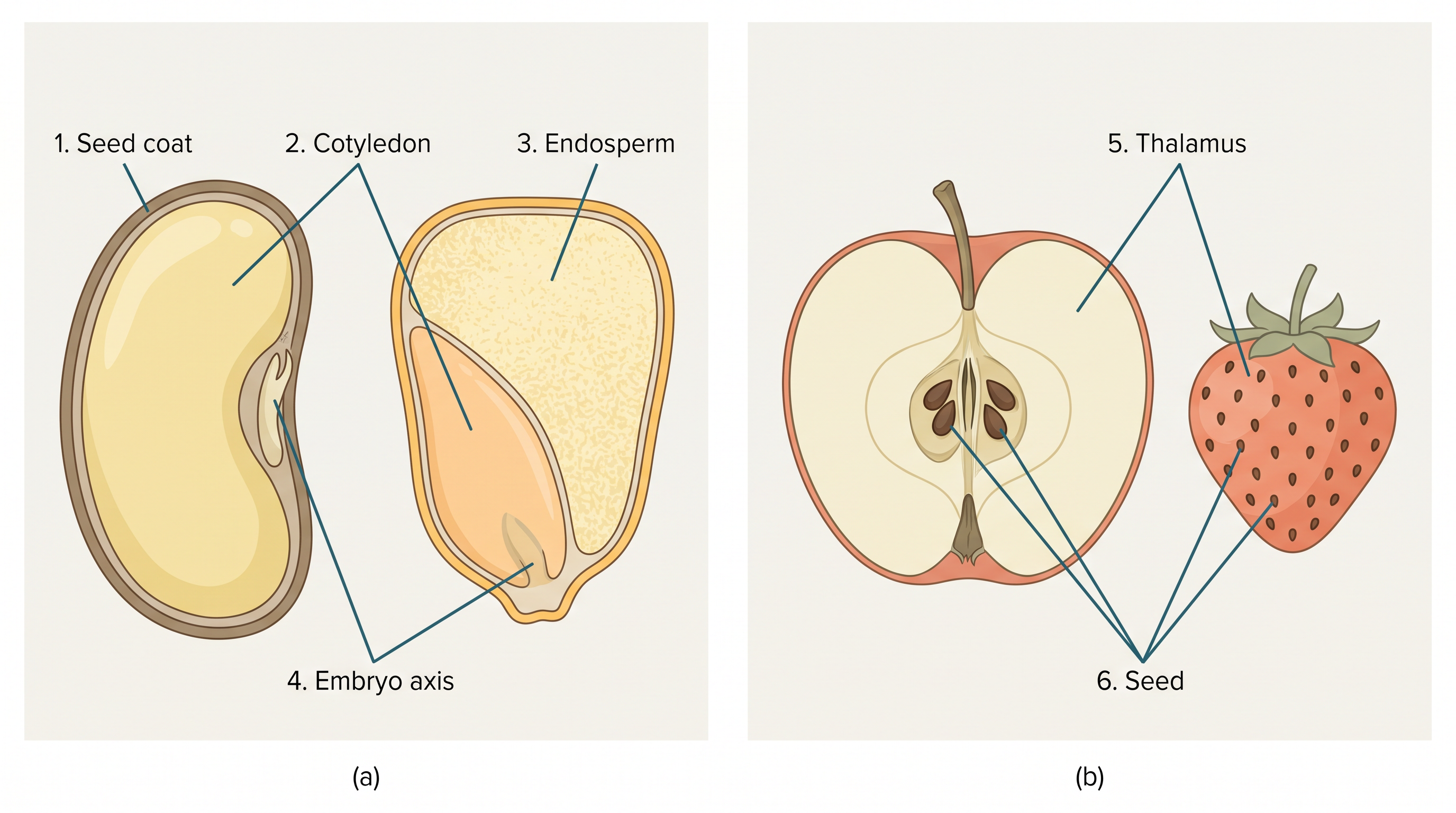 Fig. 1.15