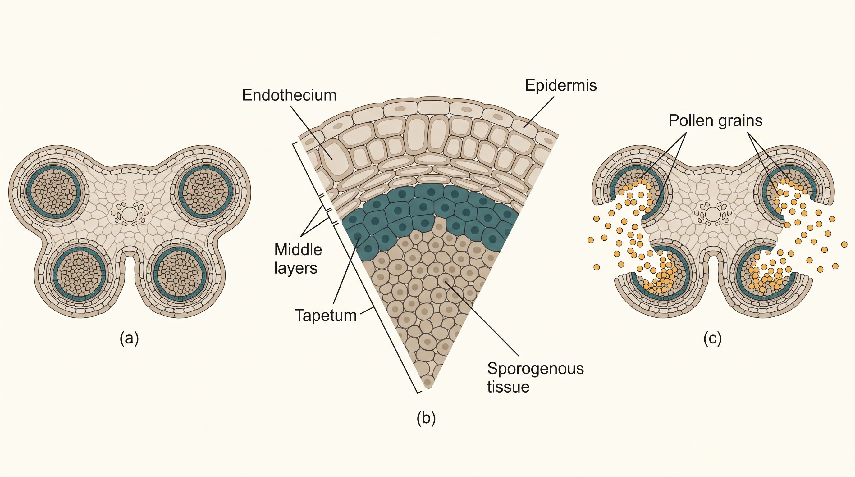 Fig. 1.2