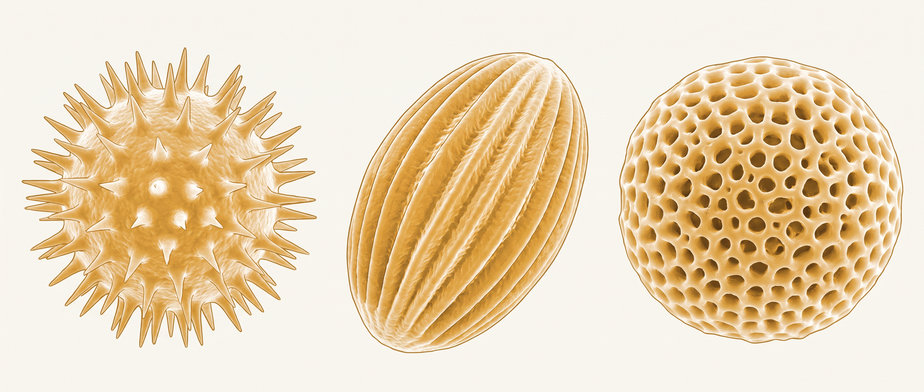 Fig. 1.3